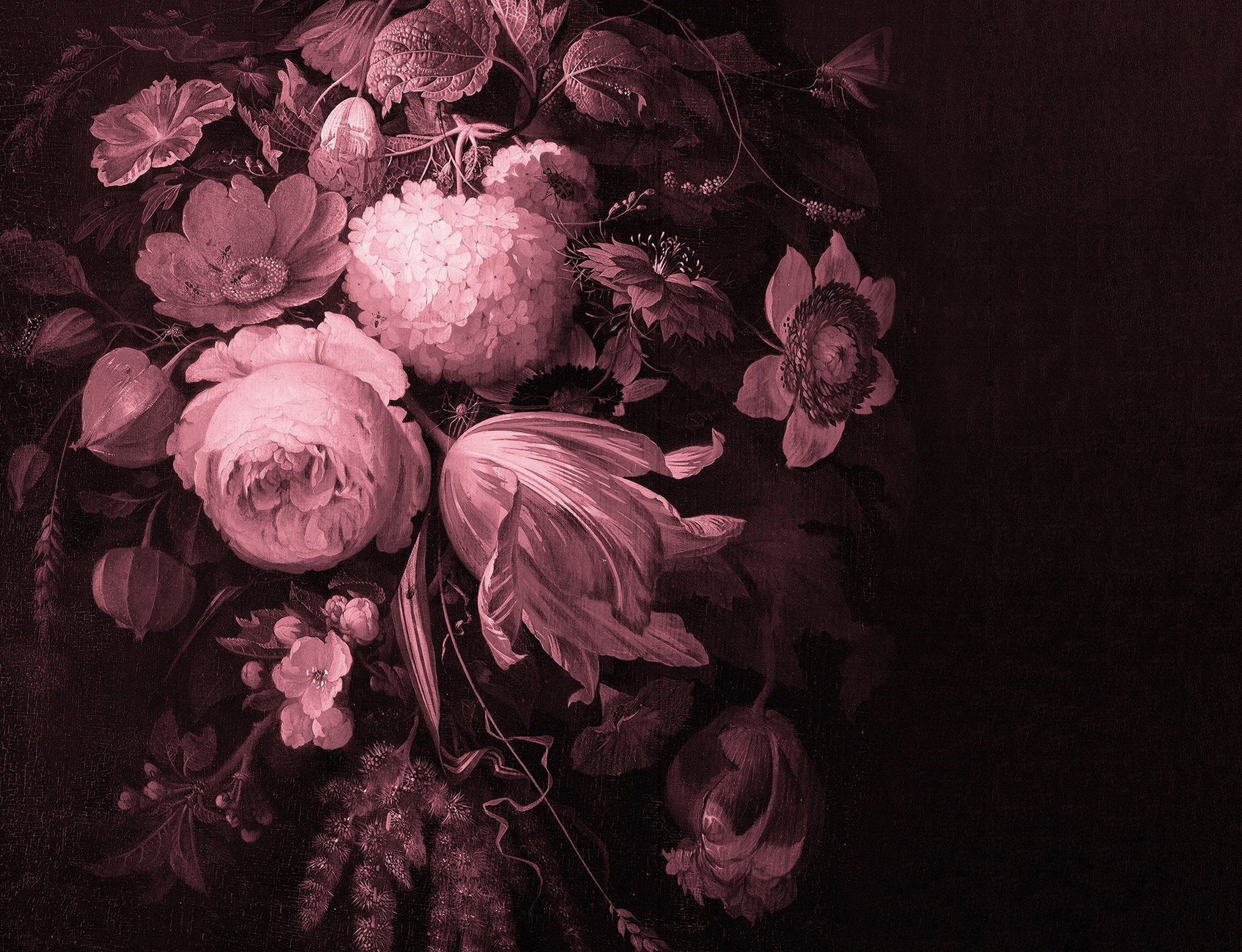 Boudoir Pink