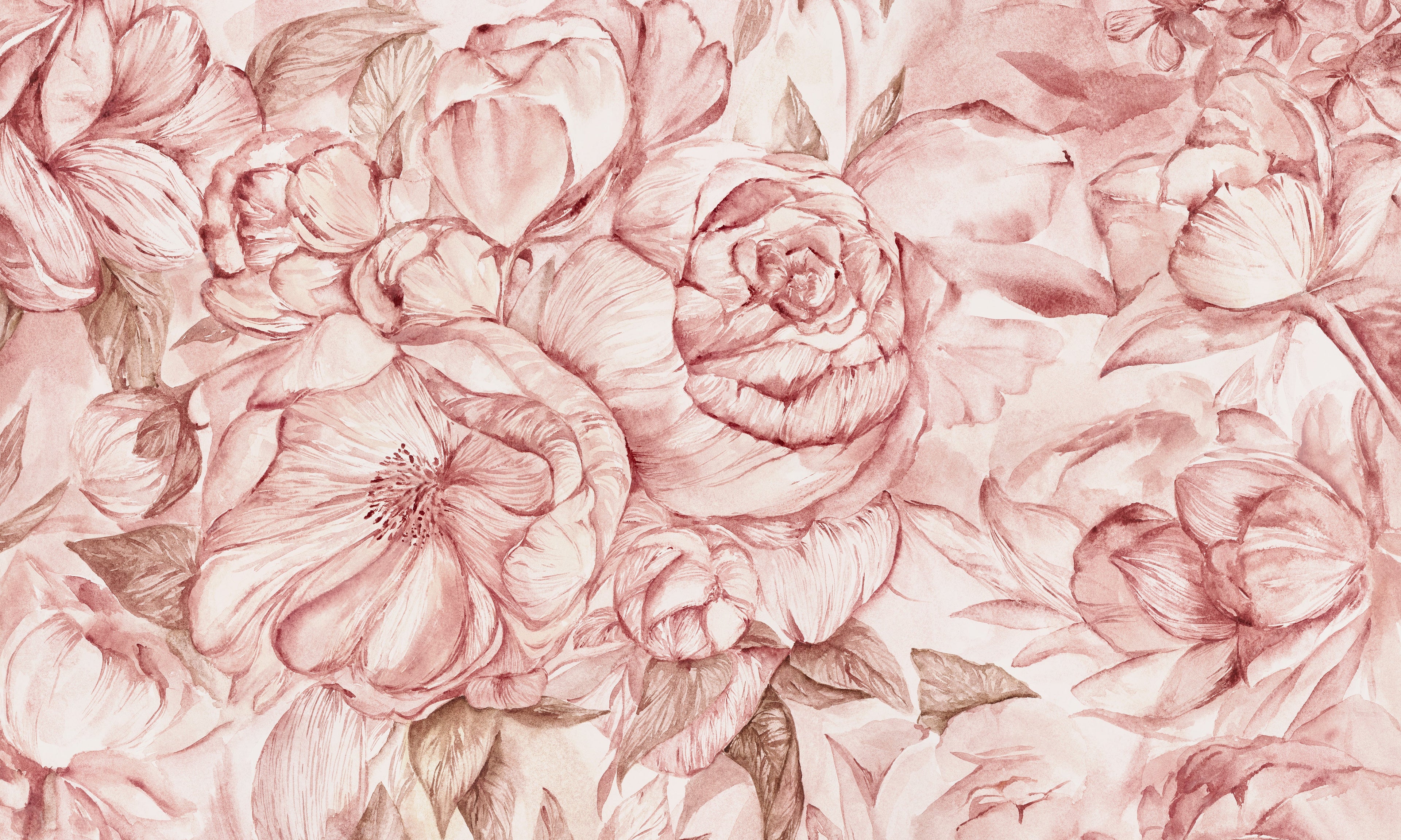 Brassica Pink