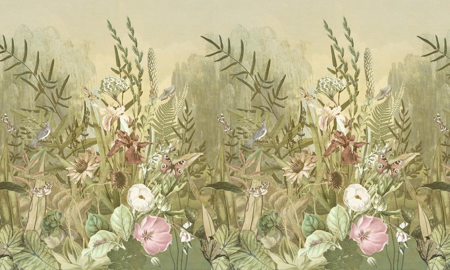 Bloom