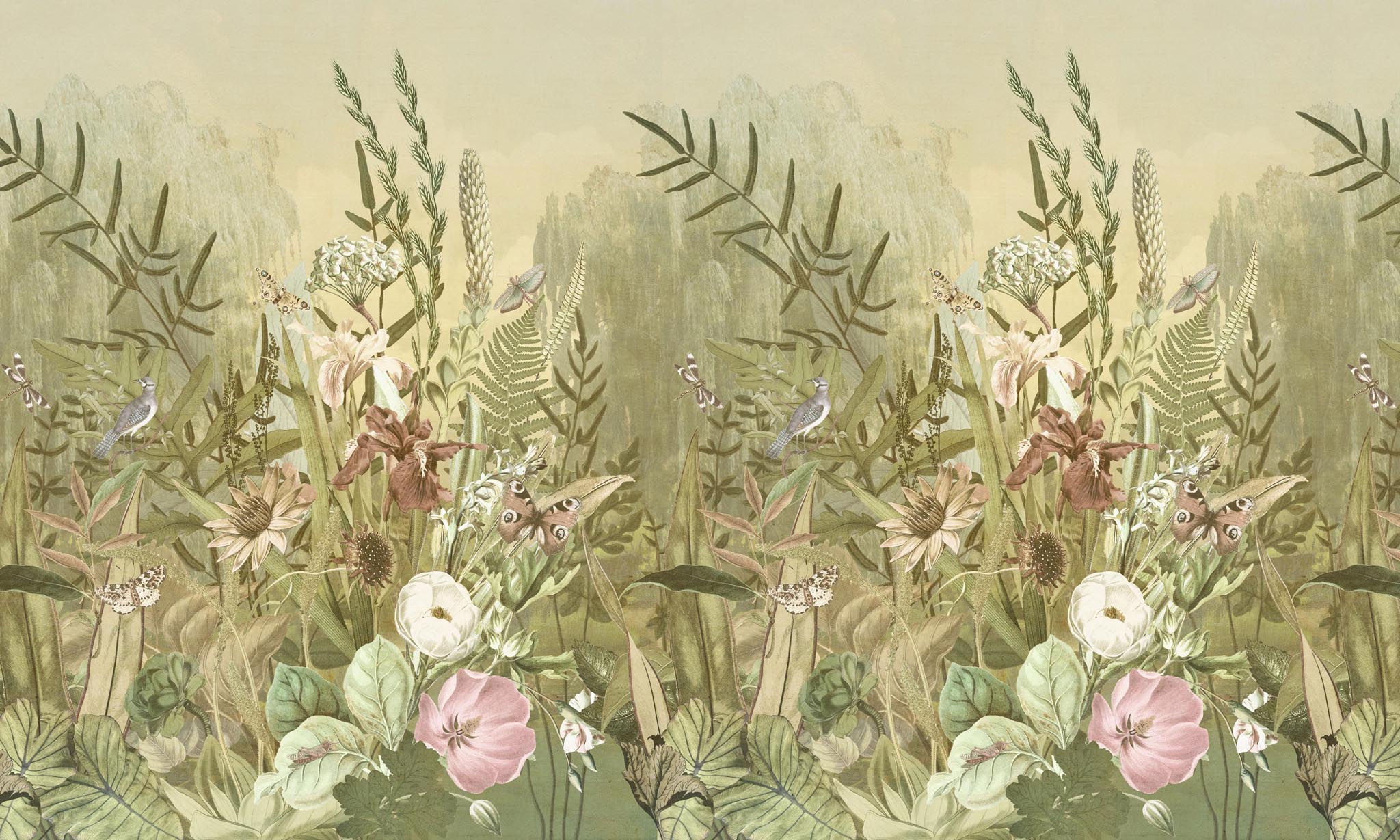 Bloom