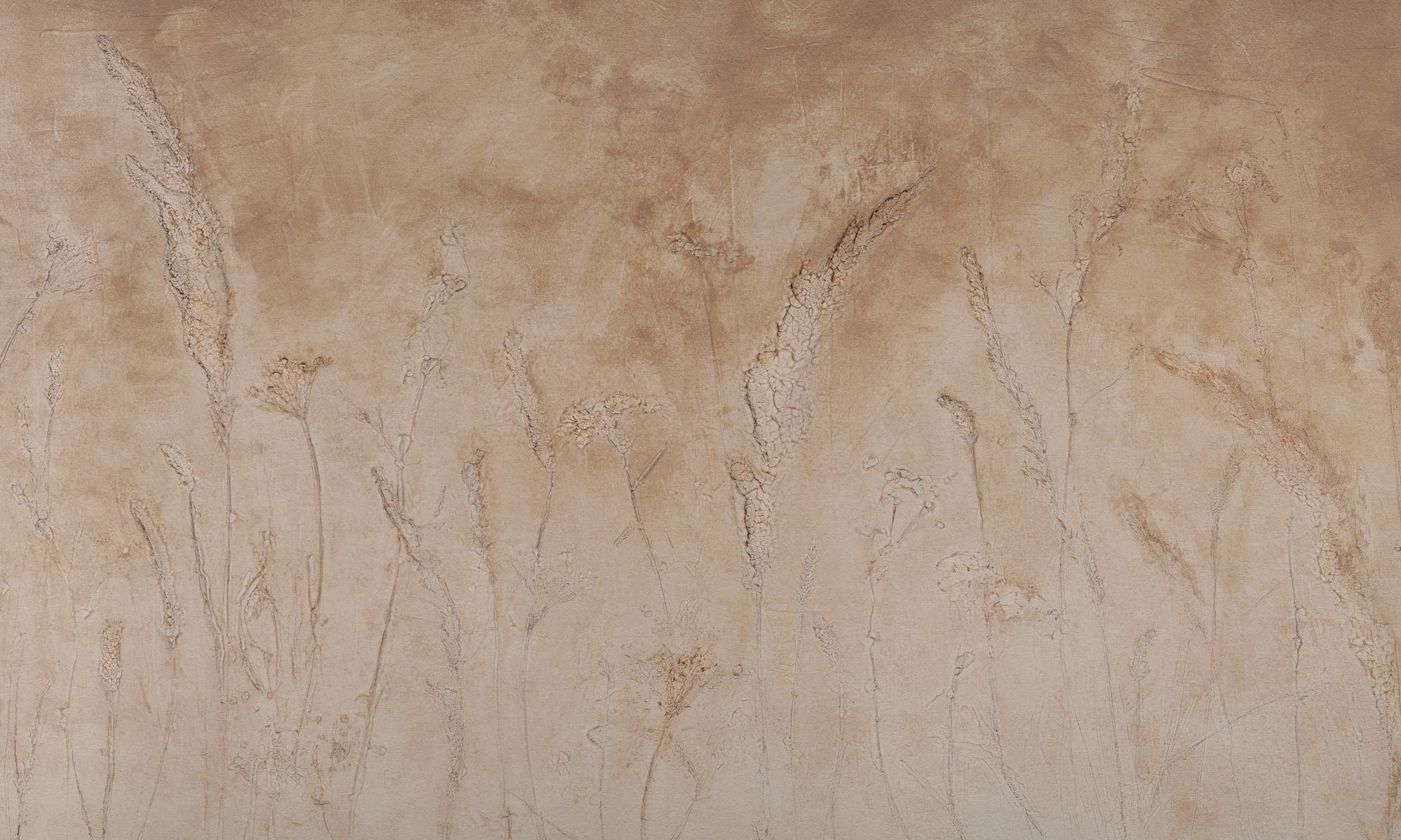 Campo Di Grano
