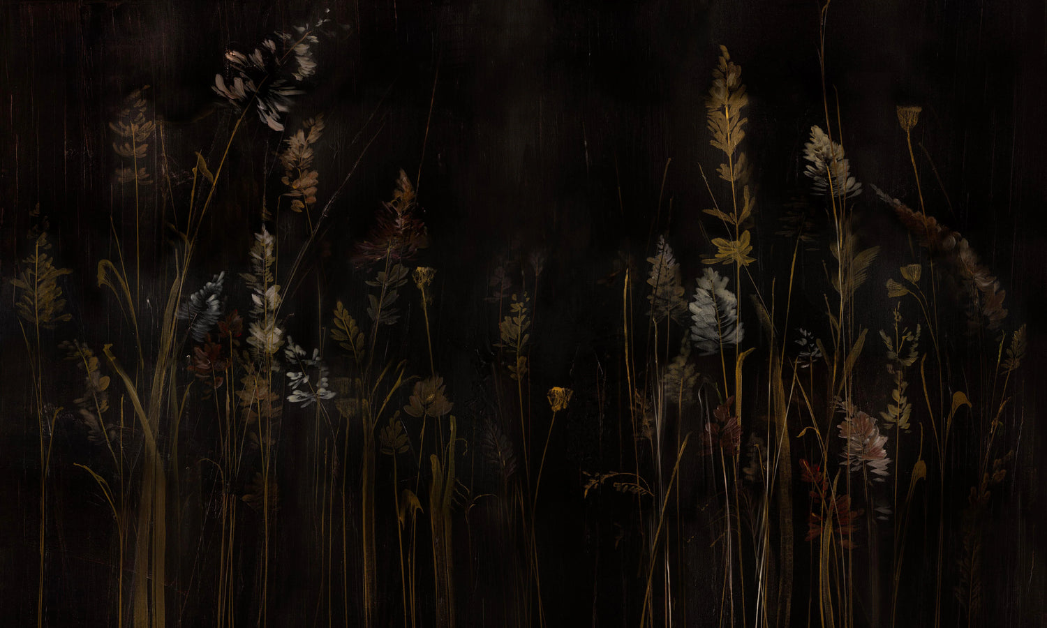 Calamus