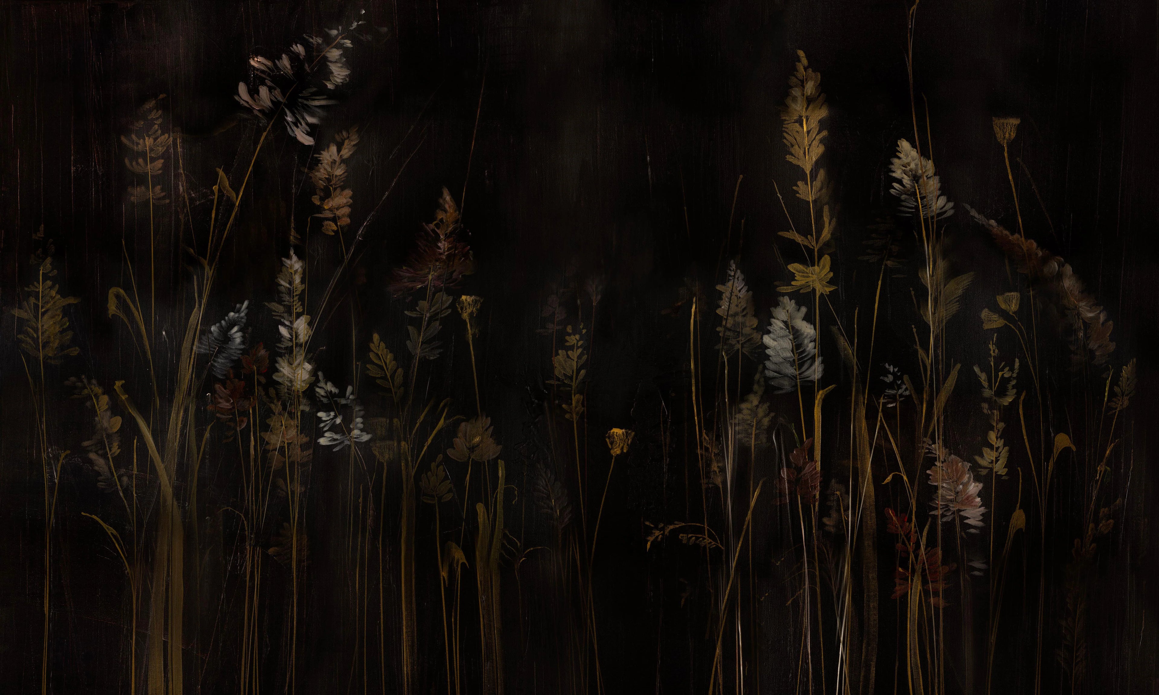 Calamus