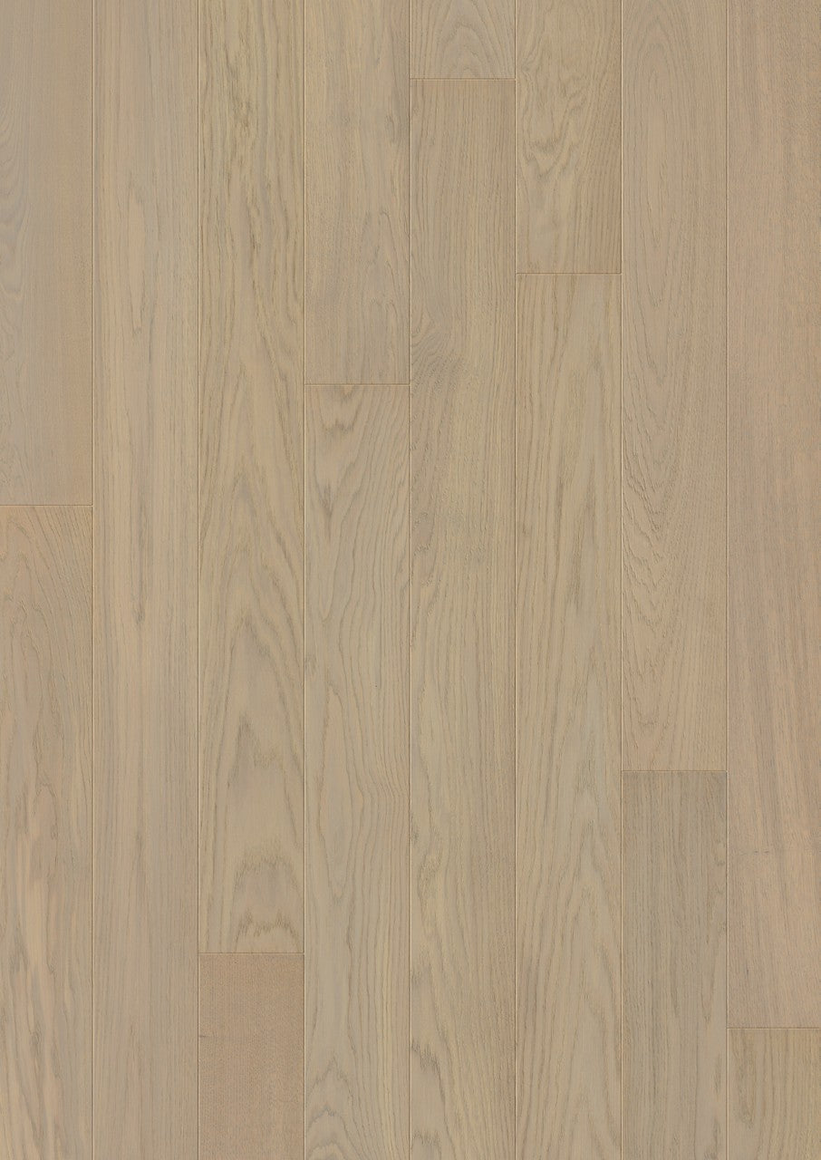 Dove Grey Oak