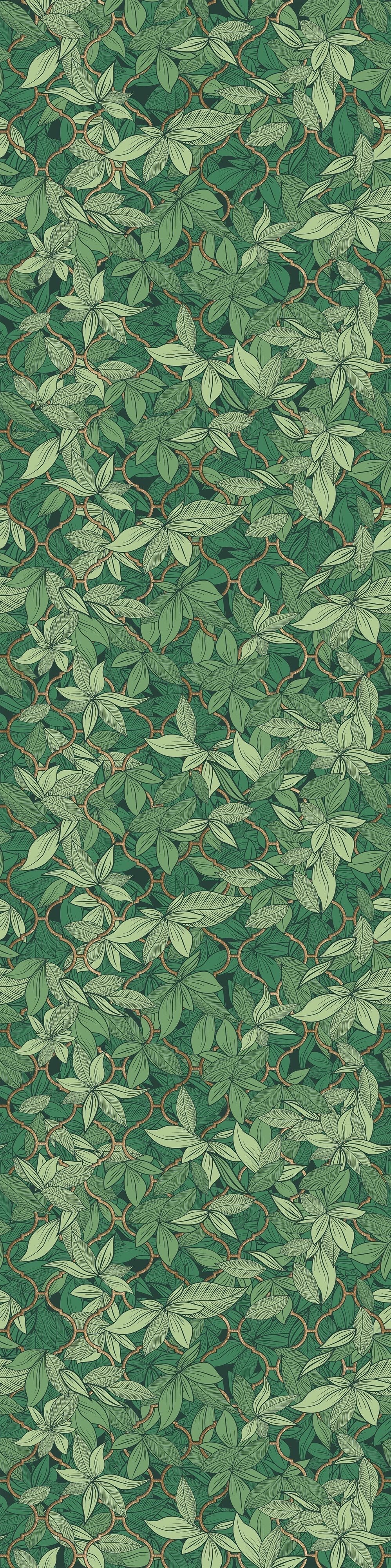 Edera Dark Green