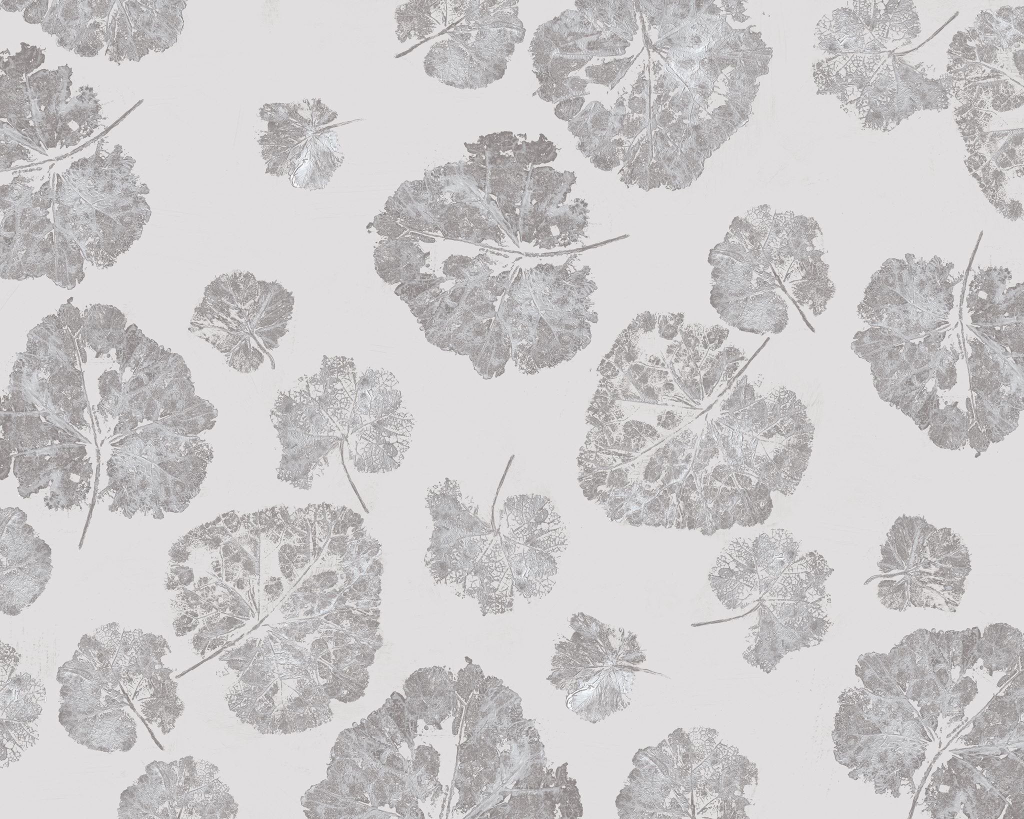 Foglia Dust