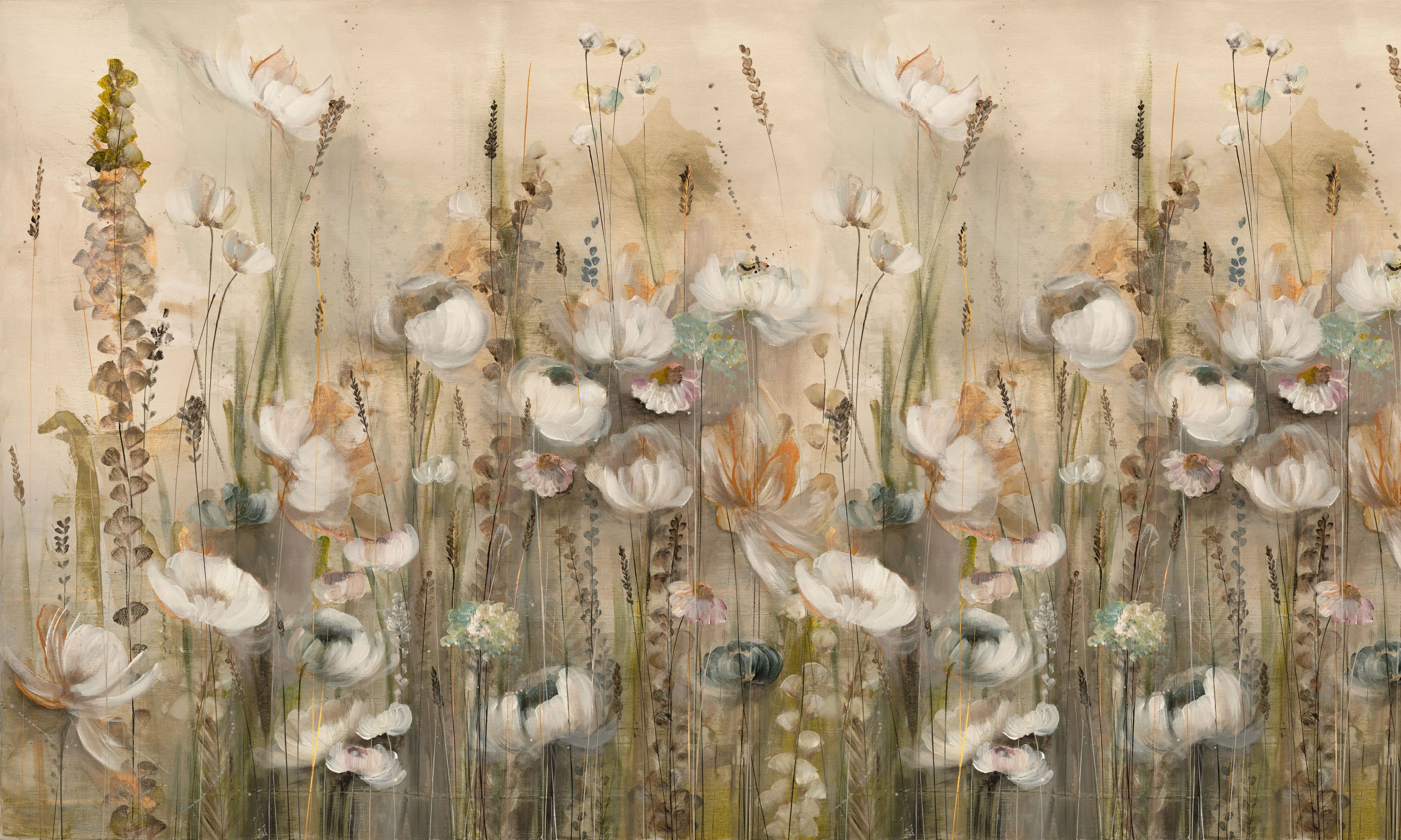Lilium