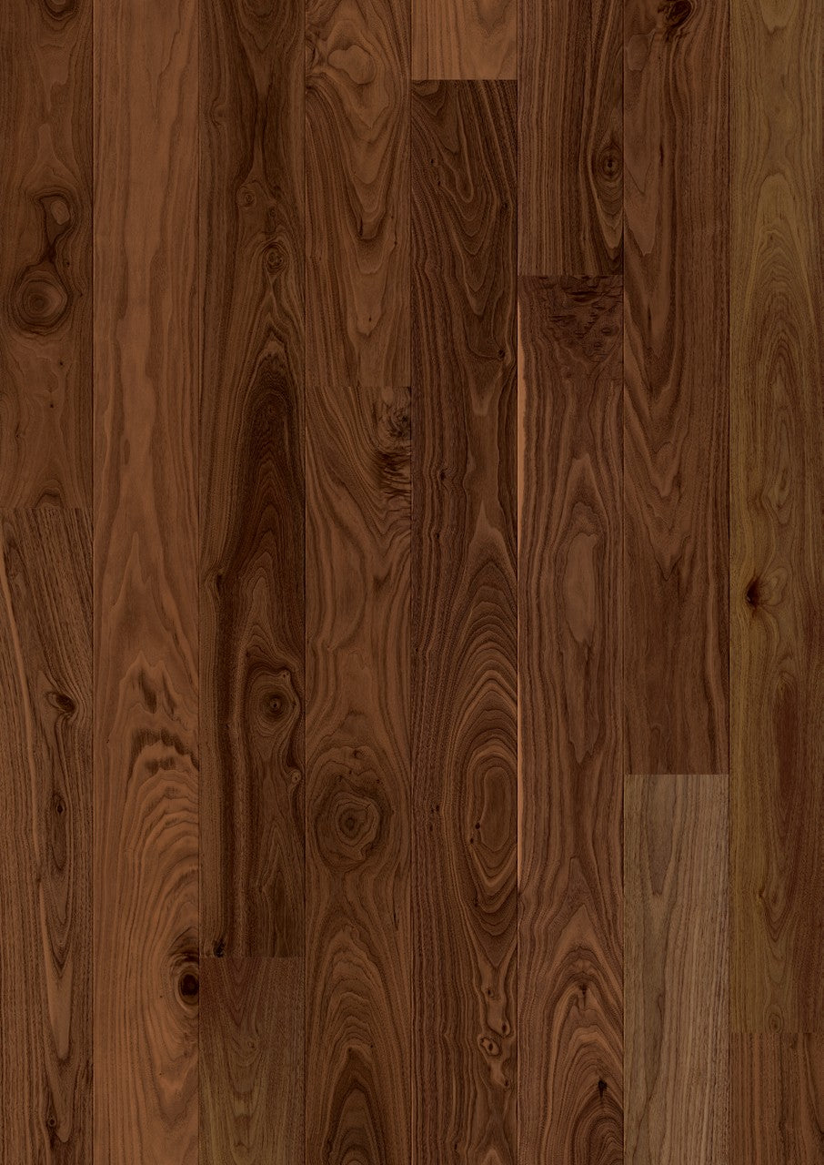 Mild Walnut