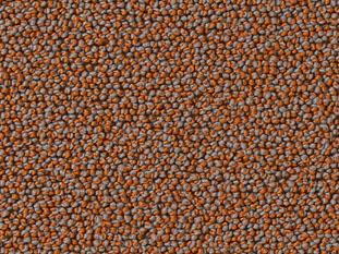 Punctum 1M78