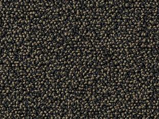 Punctum 9F60