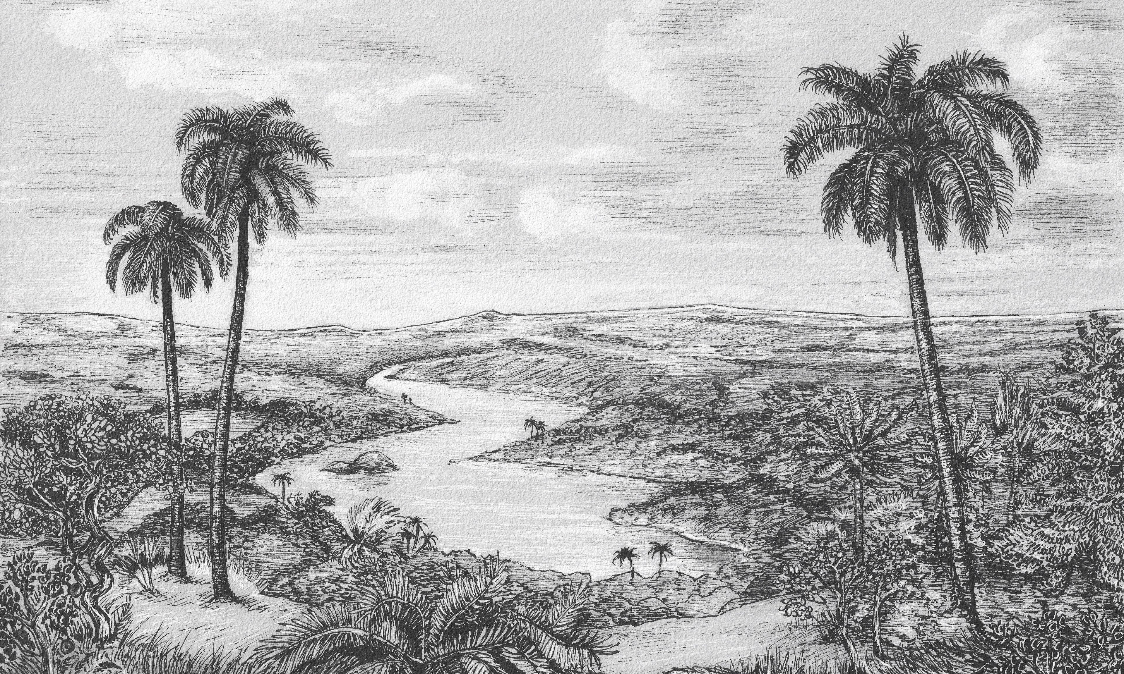 Palm