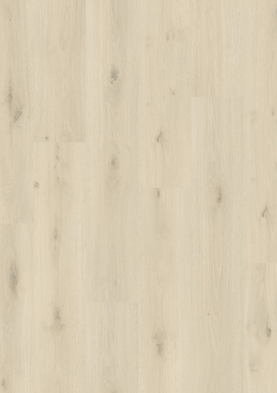 Sea Stack Oak