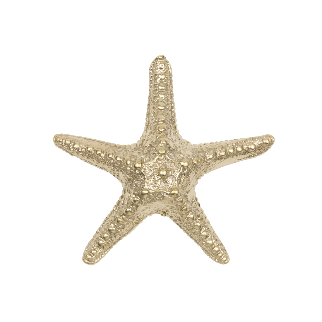 Seastar Limited Edition XL