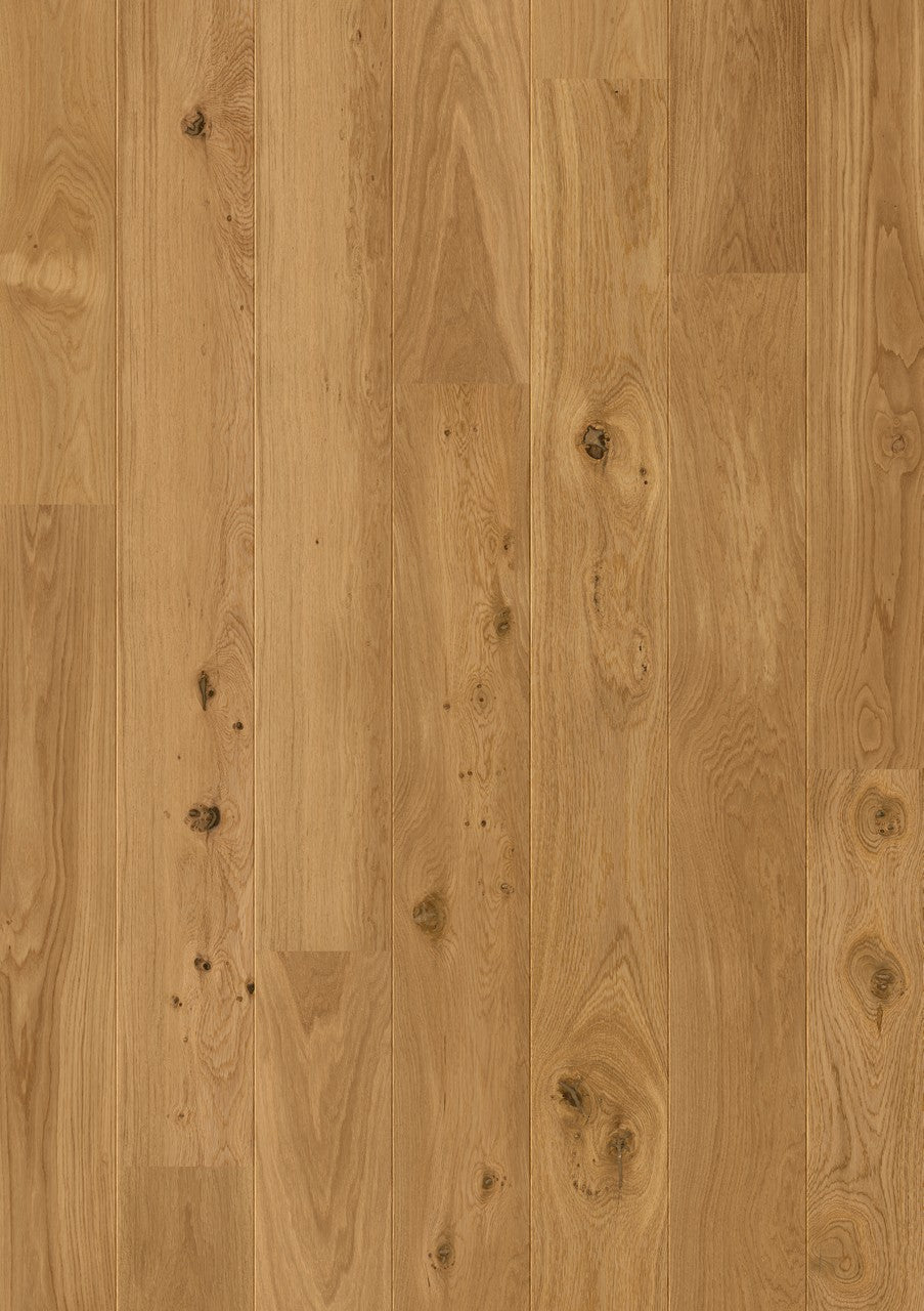 Sunrise Oak