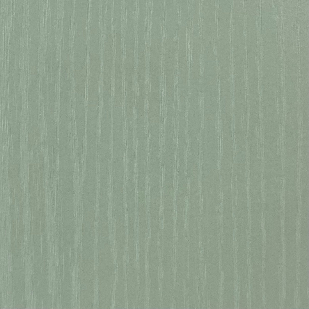 Timber Forest