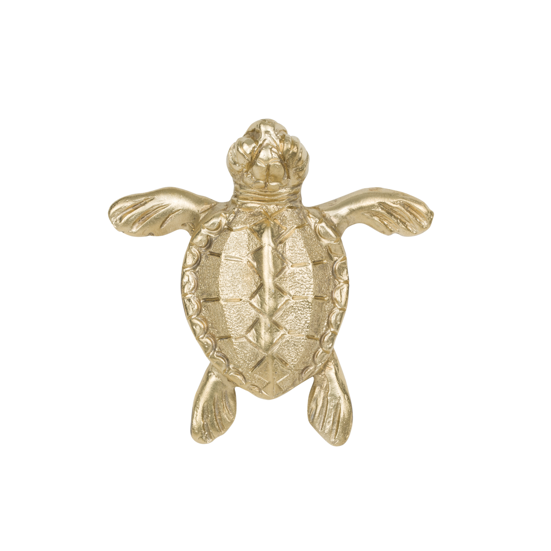 Turtle Wall decoration