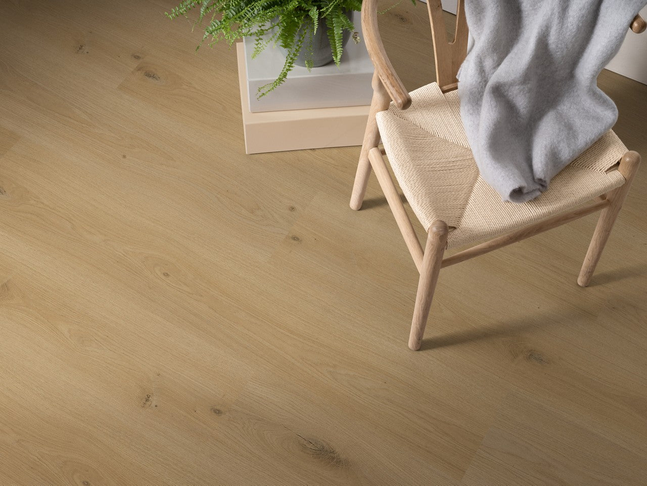 Vineyard Oak