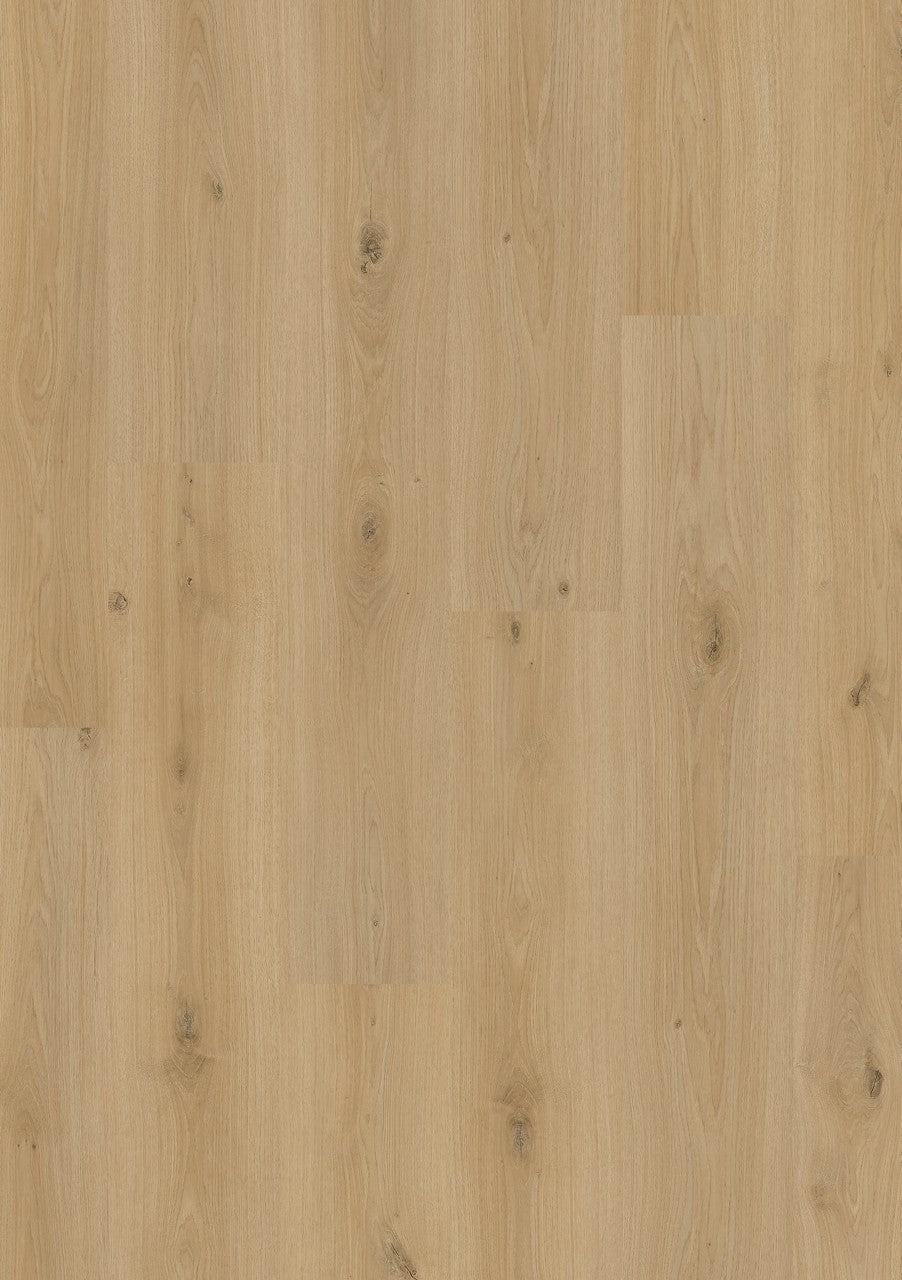 Vineyard Oak