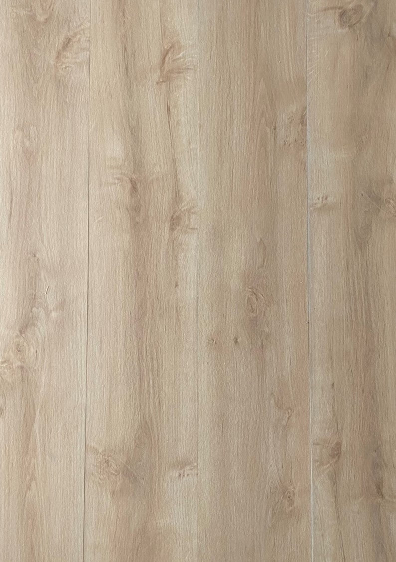 Cape Hickory
