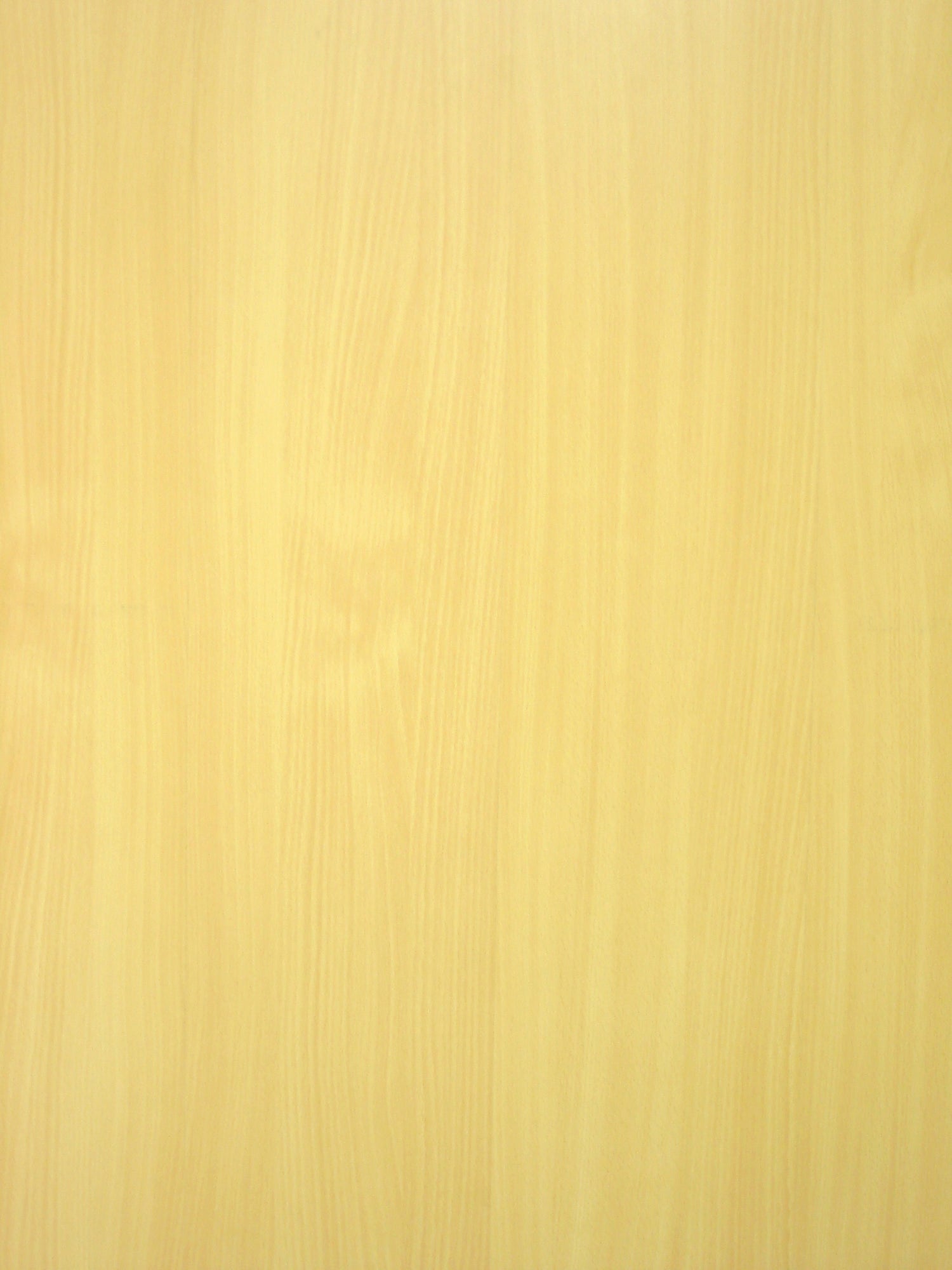 Architect Select Beech