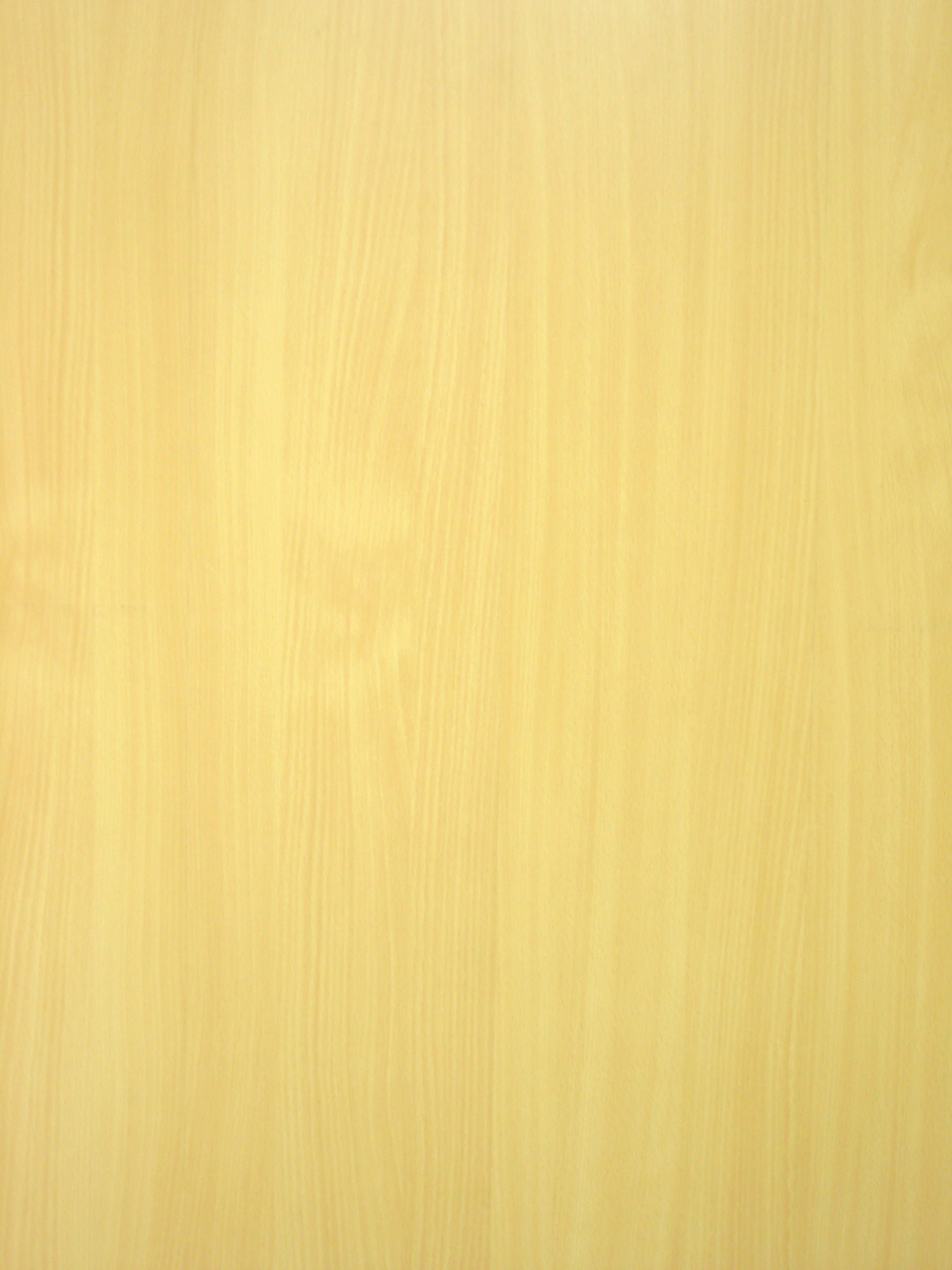 Architect Select Beech