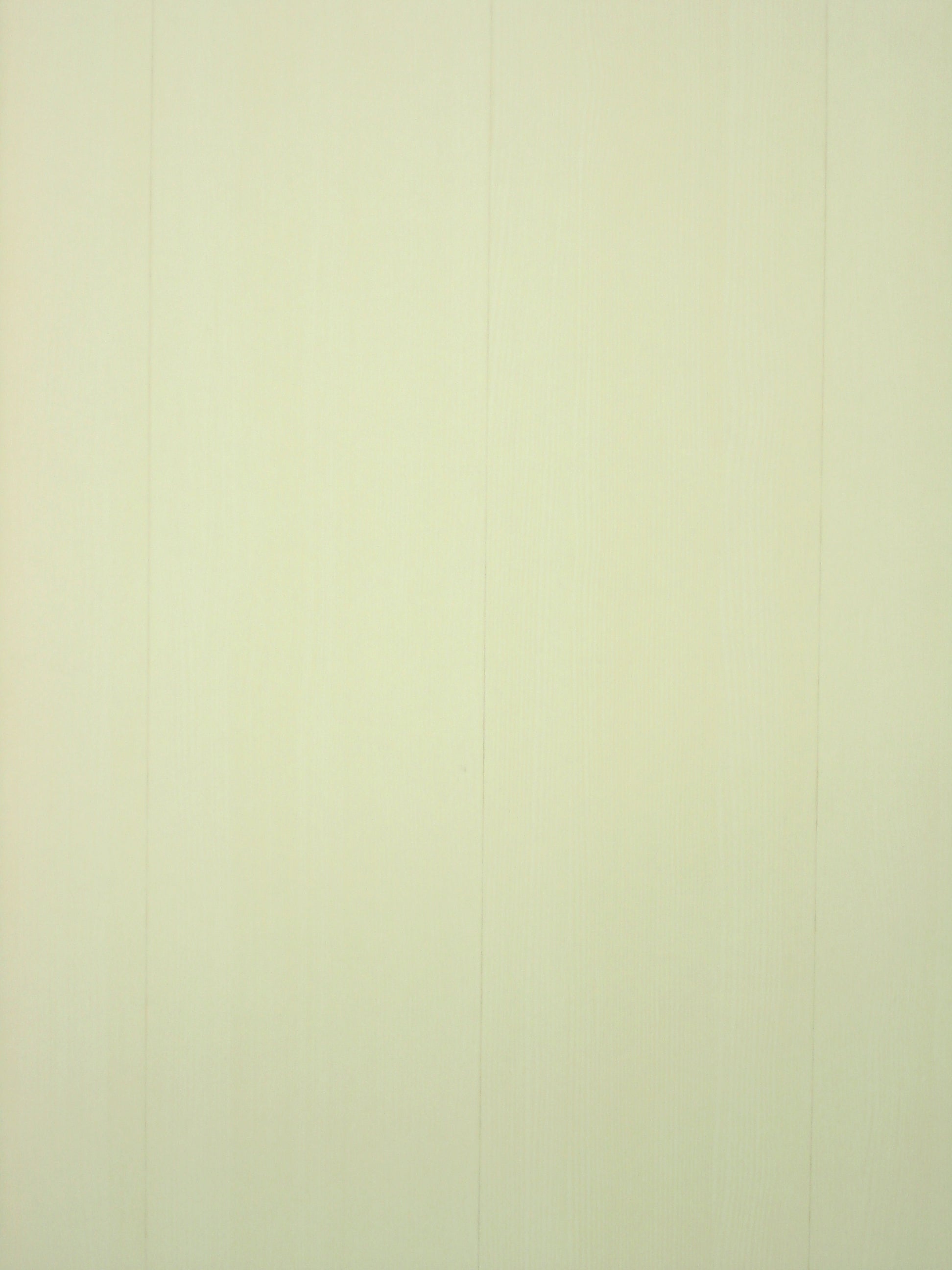 Avant Garde Casa White
