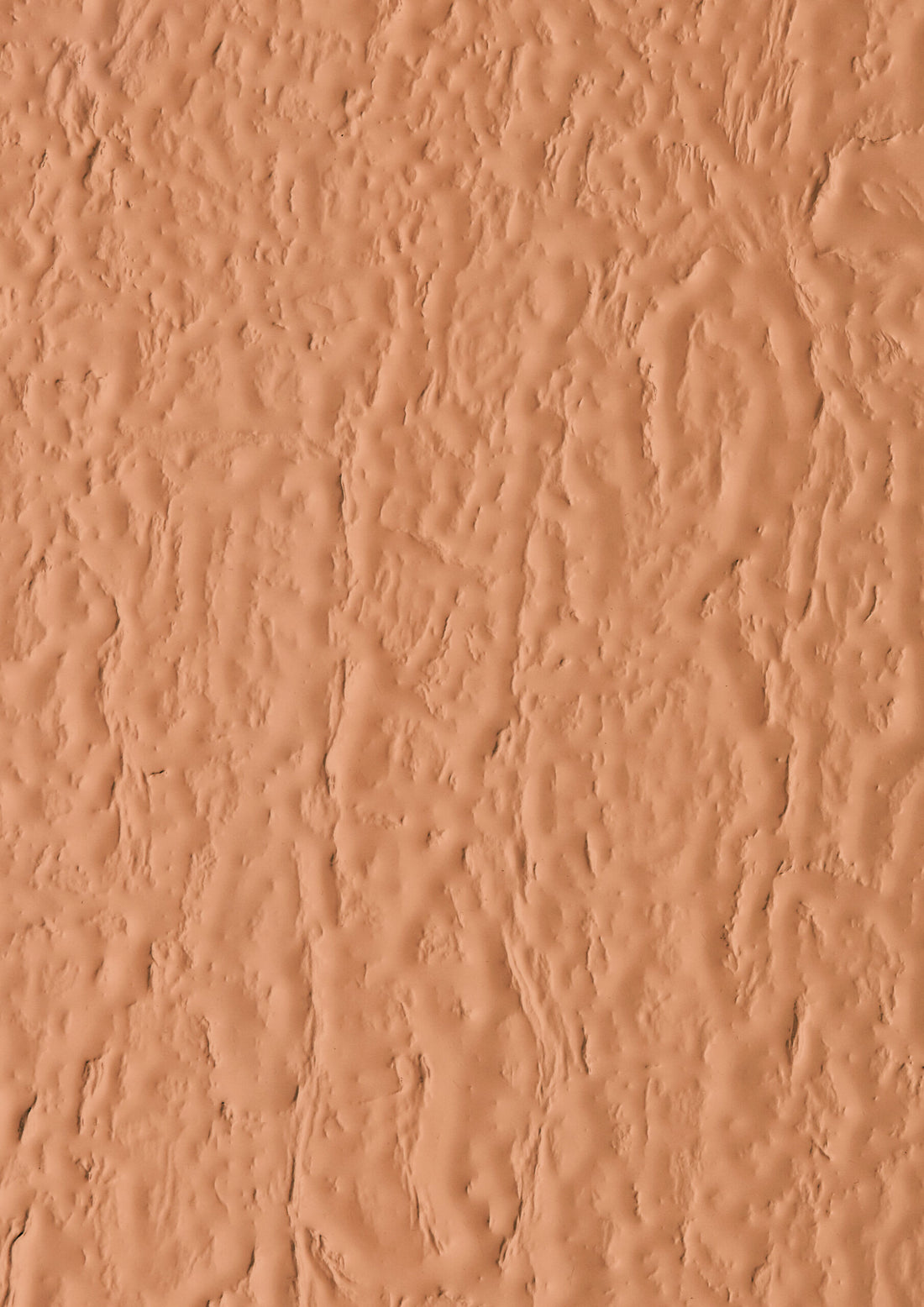 Reflective Rose Aqua