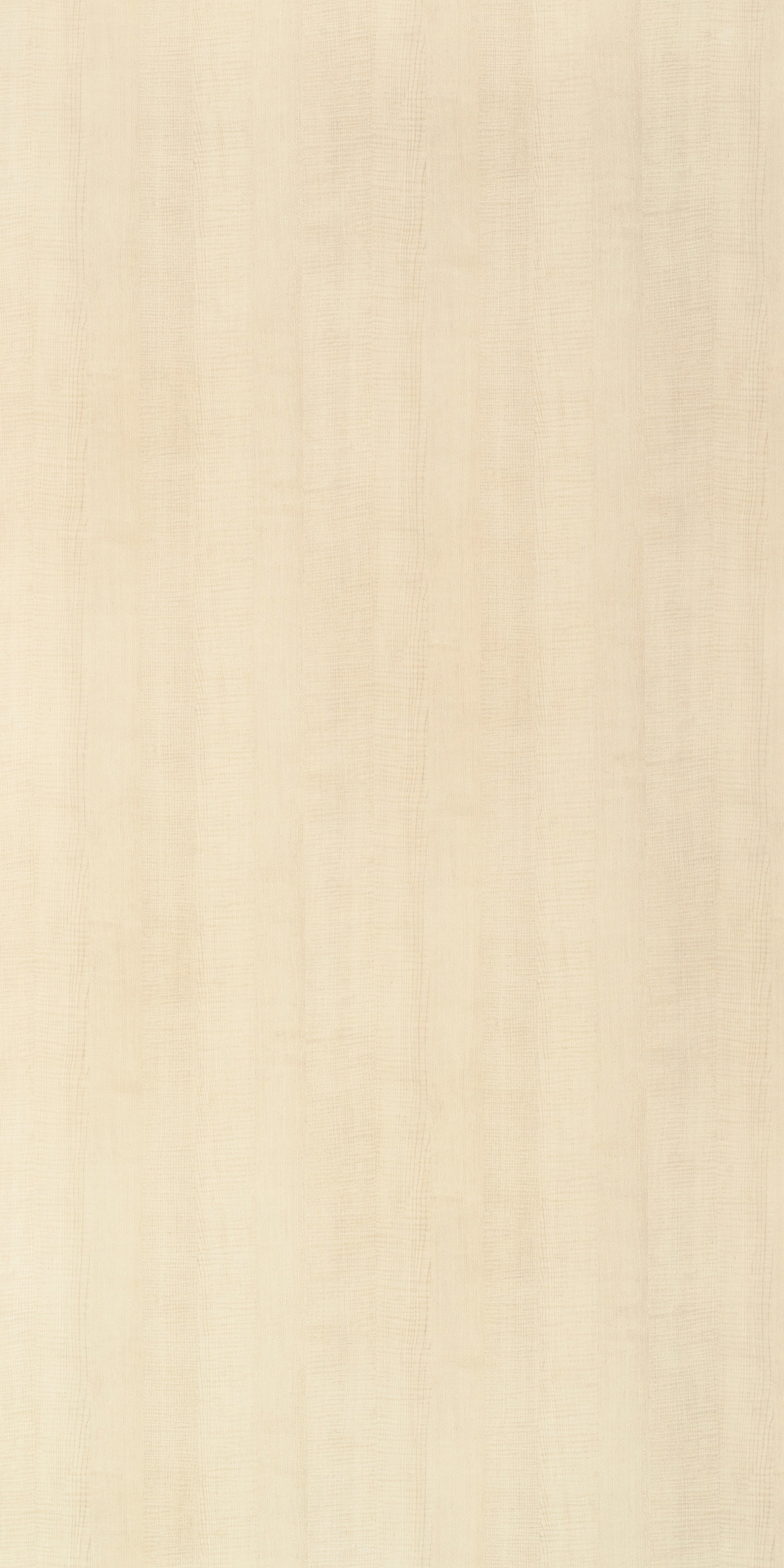 Ginko Maple Wood