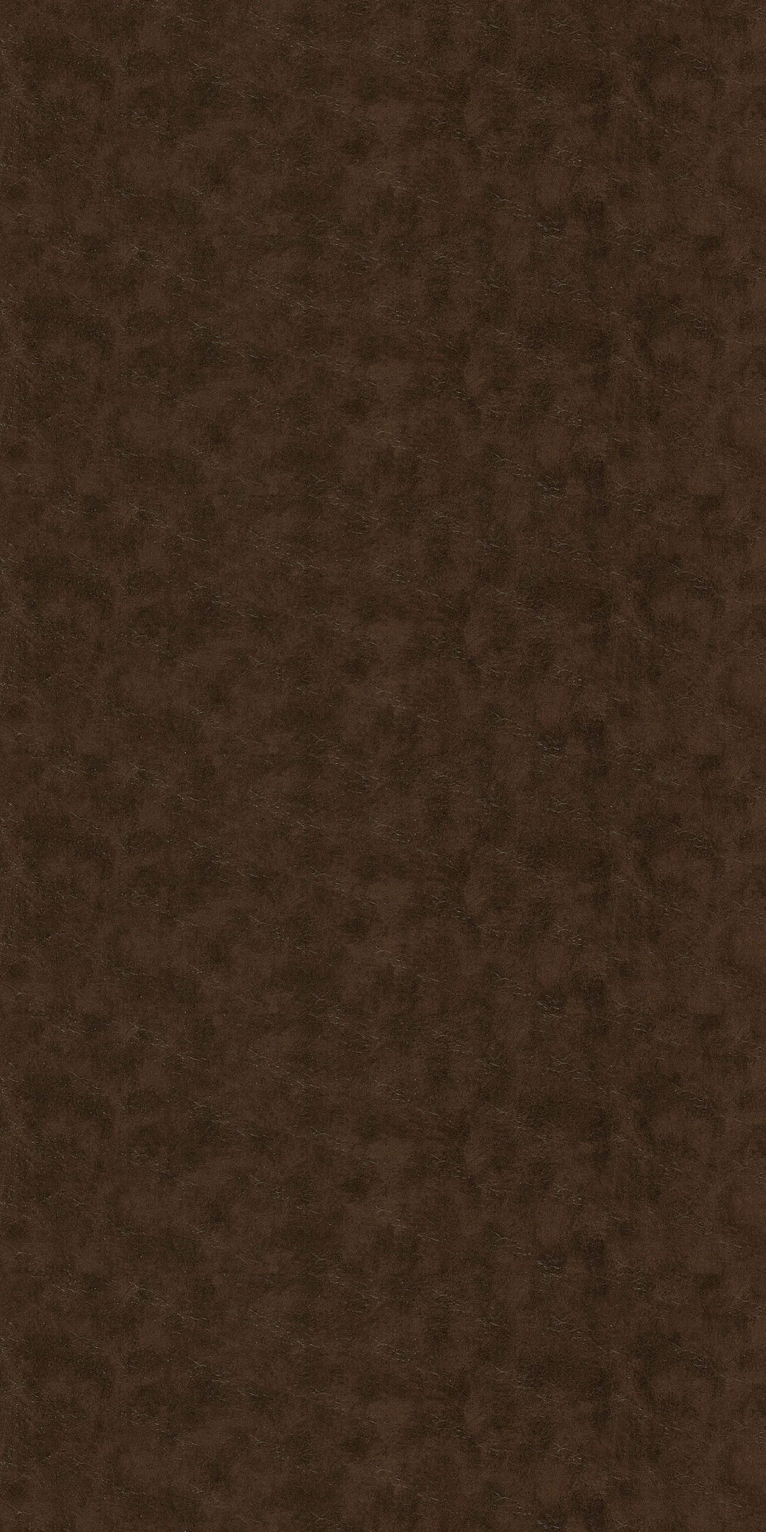 Cocoa Luxe