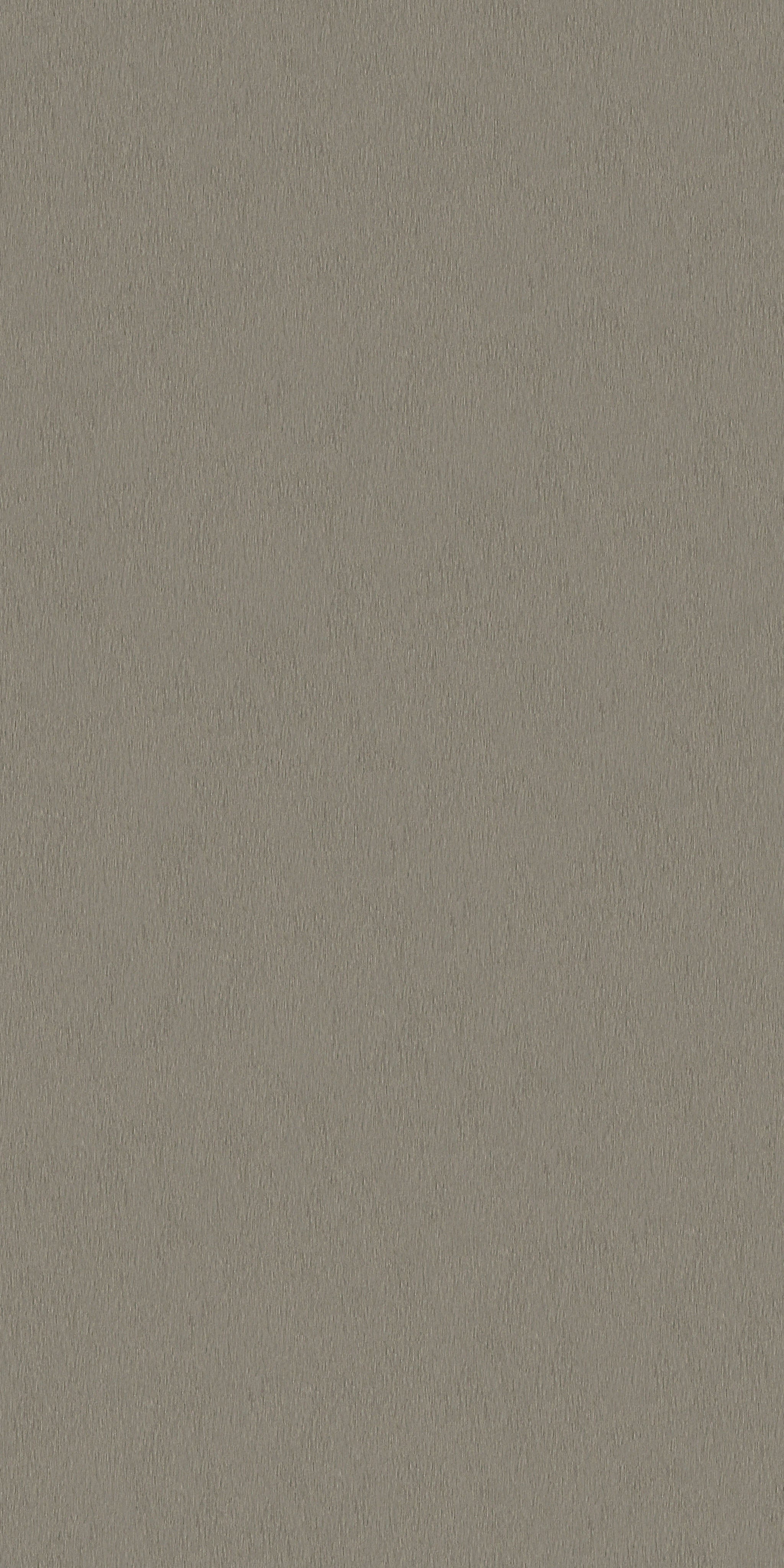 Brushed Titanium