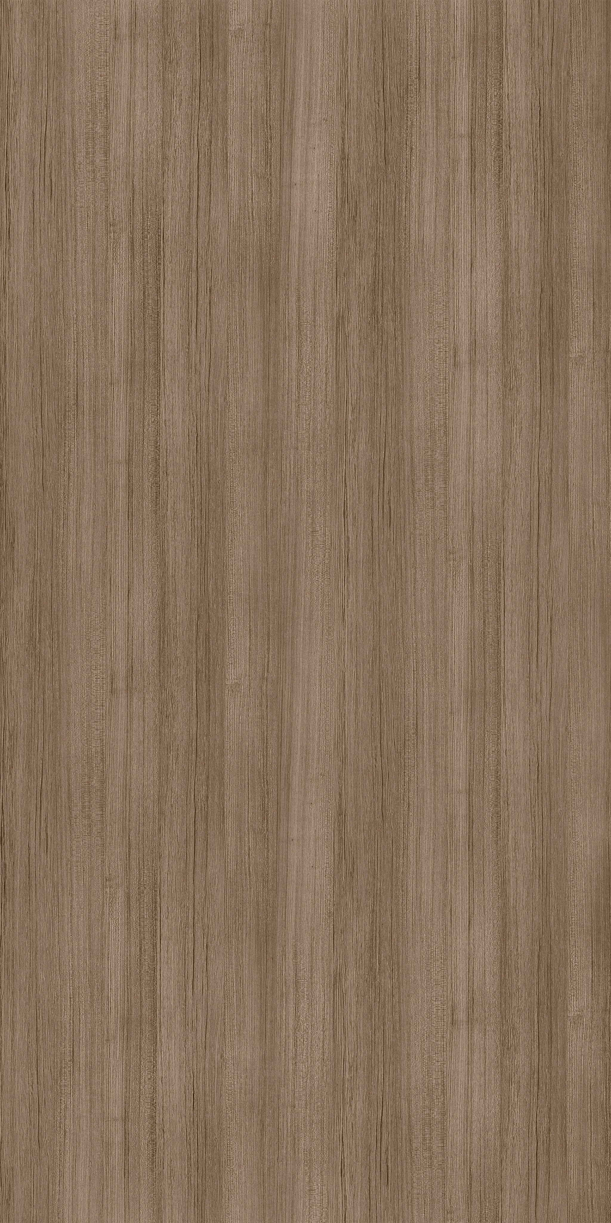 Siam Teak