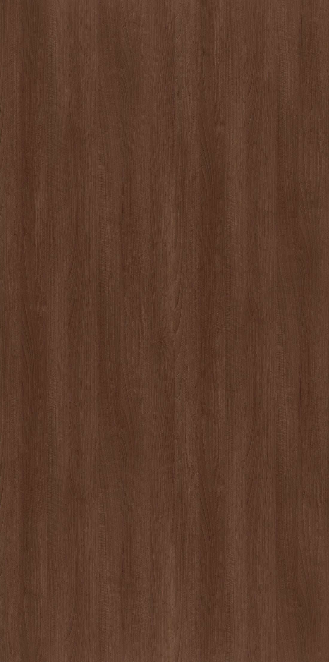 Tannin Walnut