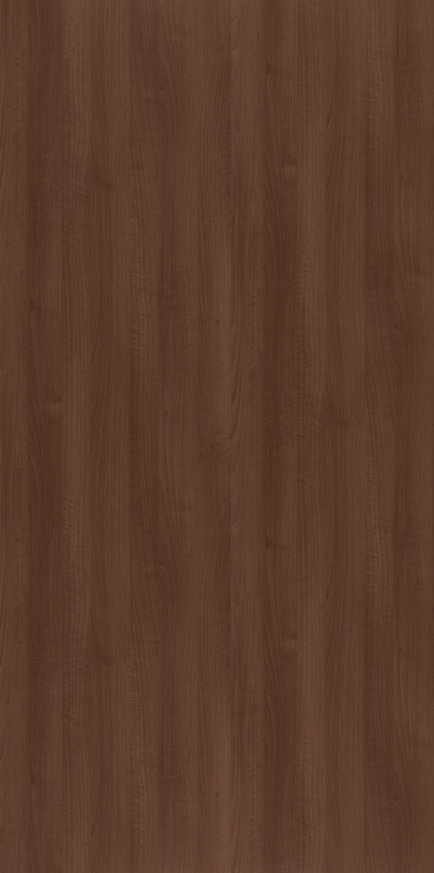 Tannin Walnut