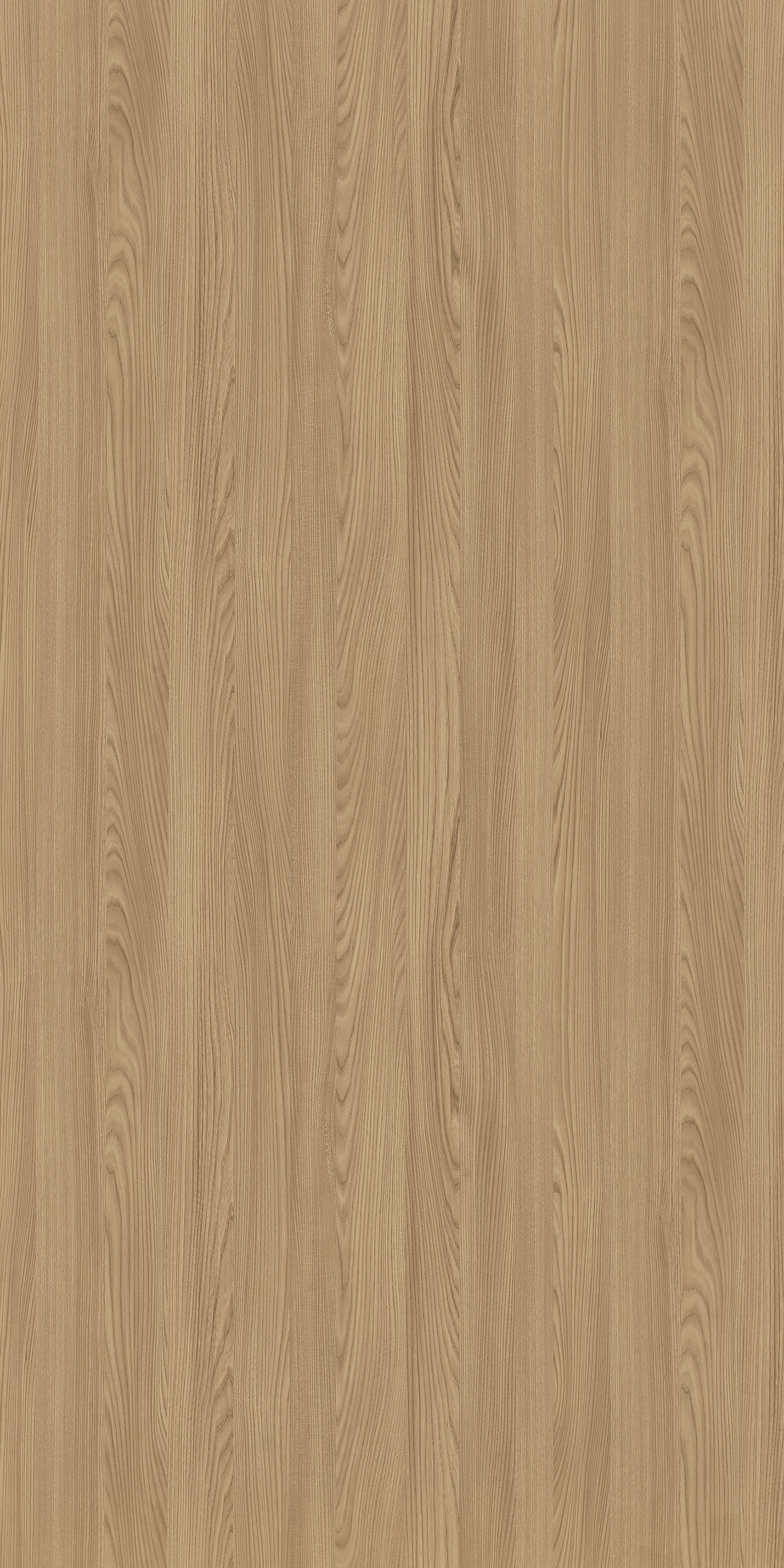 Matt Hoffmann Elm