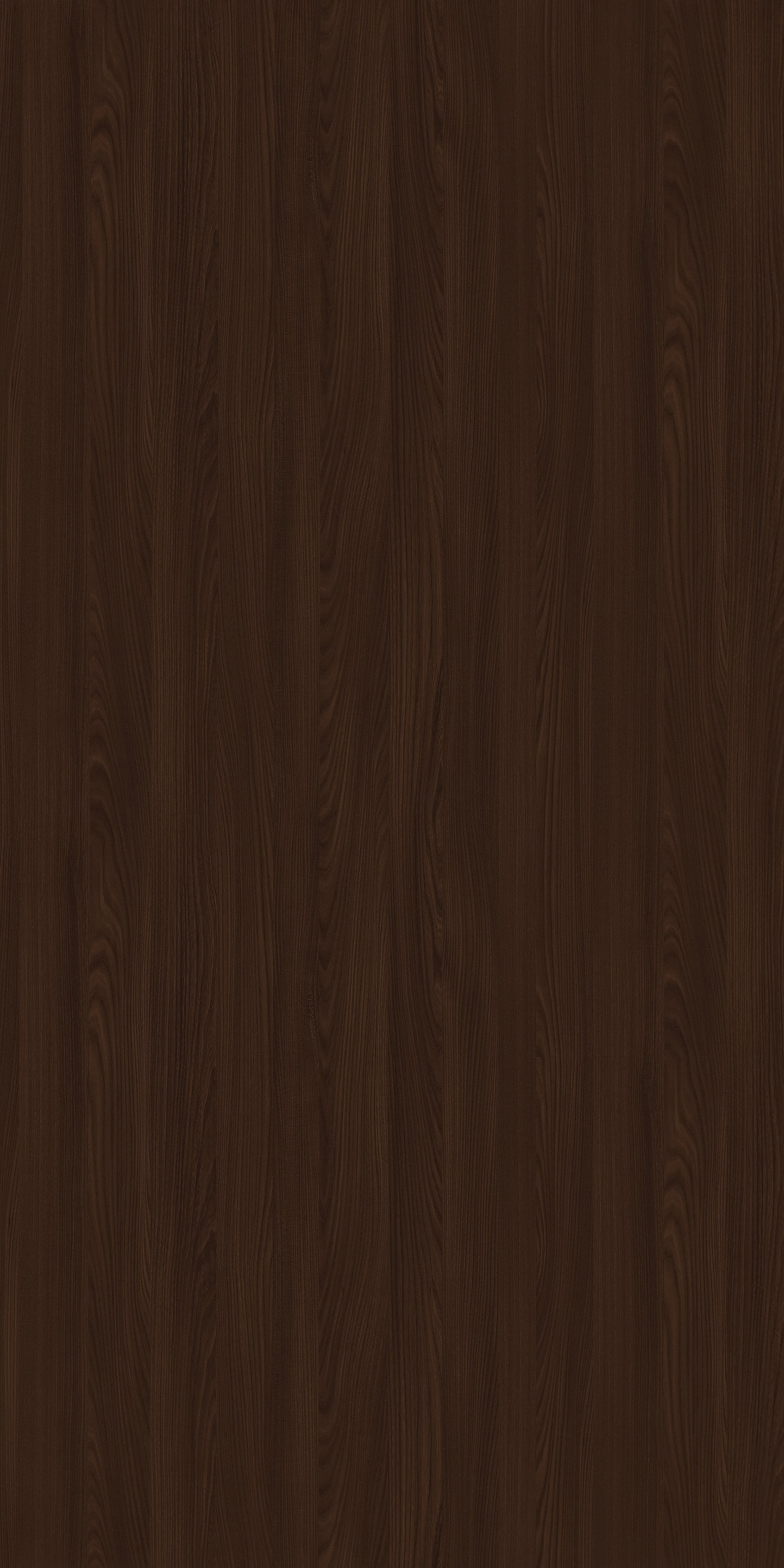 Dale Hoffmann Elm