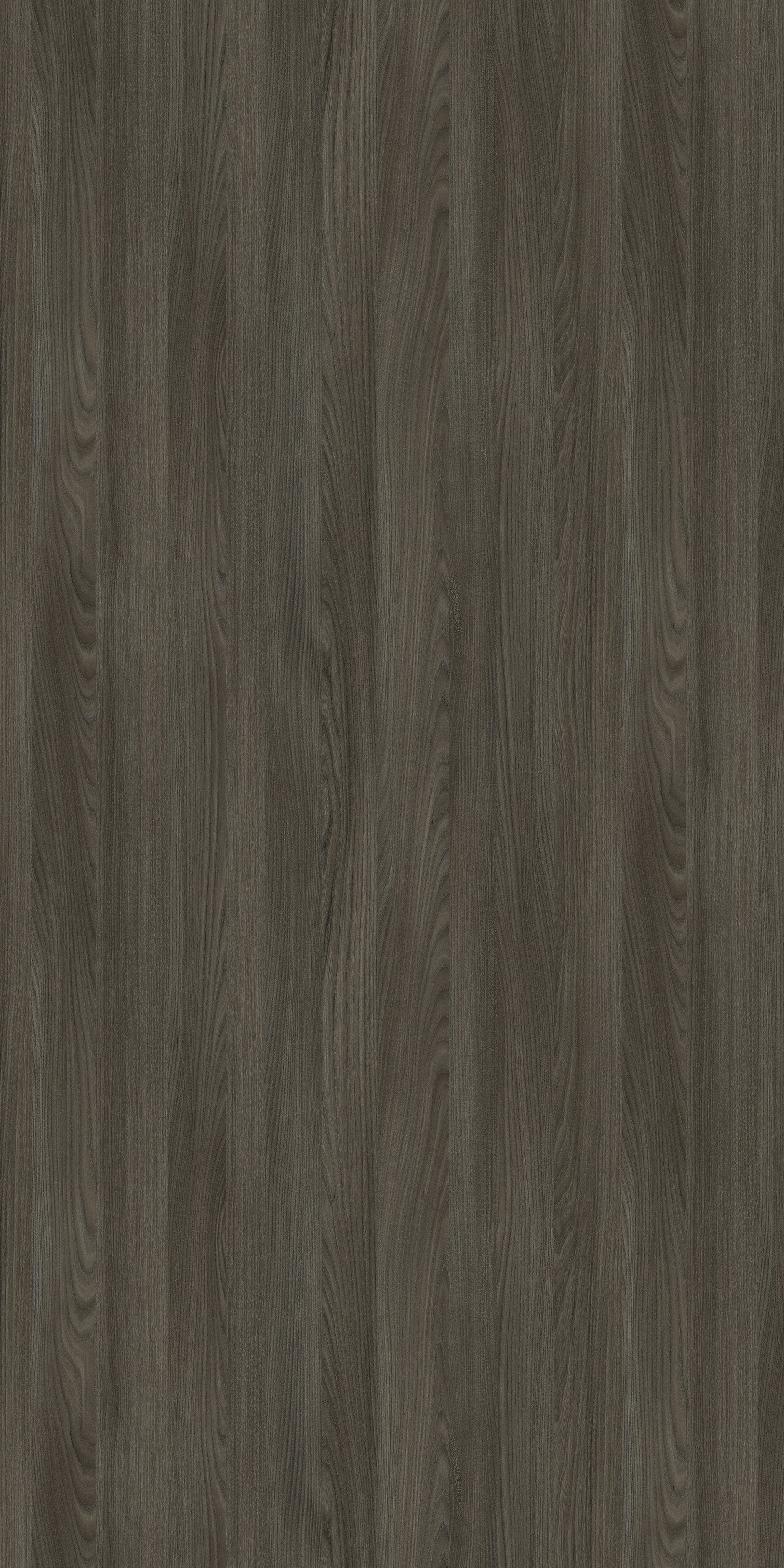 Craig Hoffmann Elm