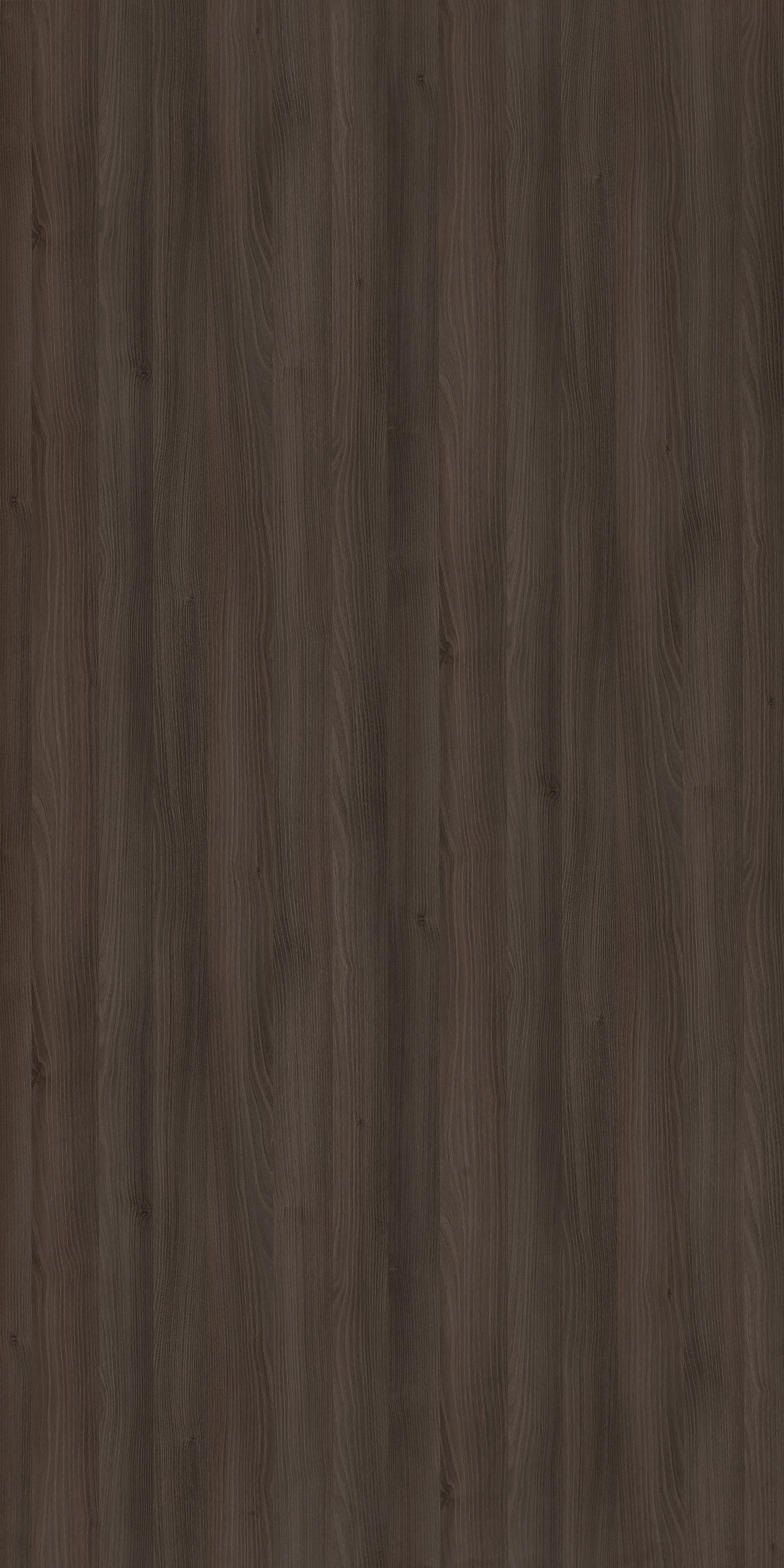 Brandolini Viola Noce