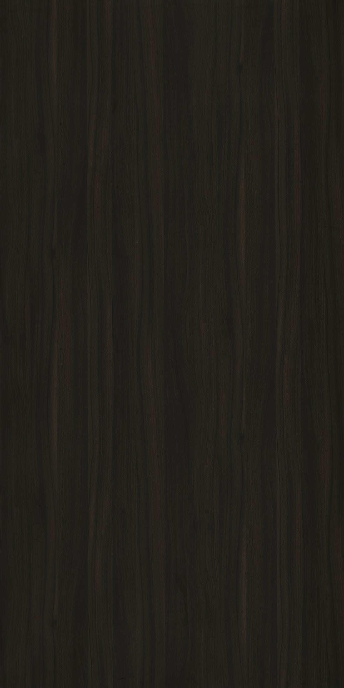 Ermanno Marcello Walnut