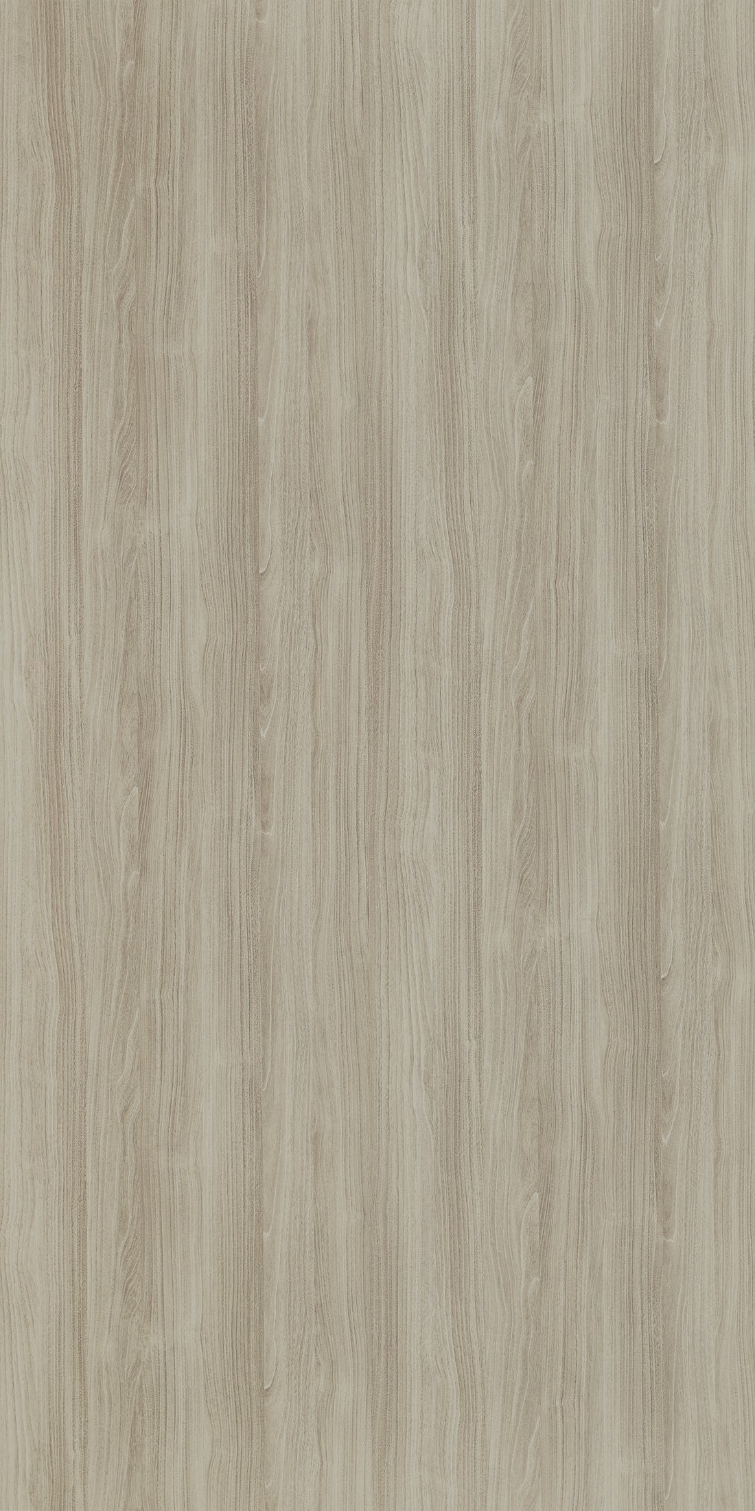 Bleached Rosenheim Maple