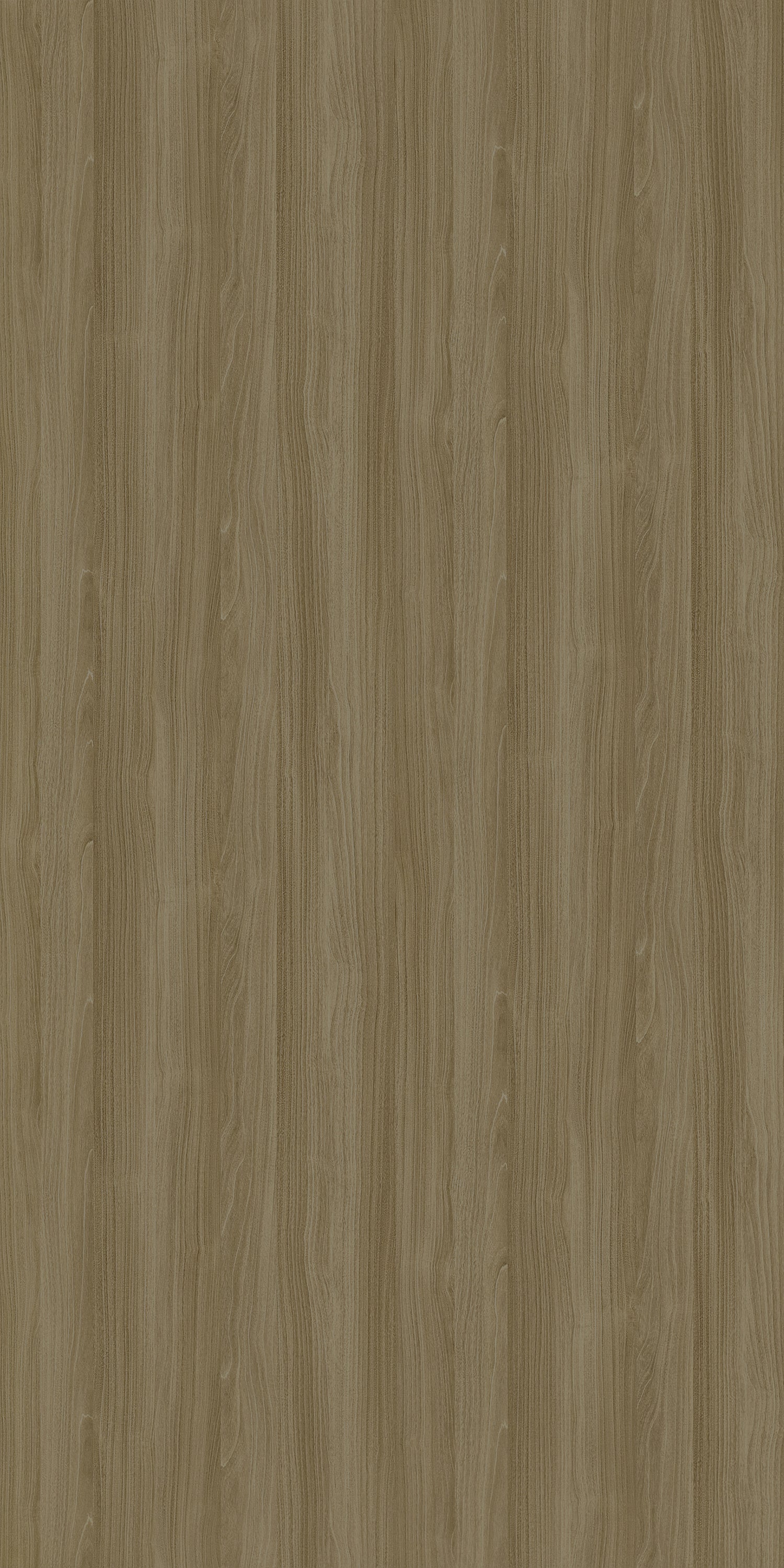 Tanned Rosenheim Maple