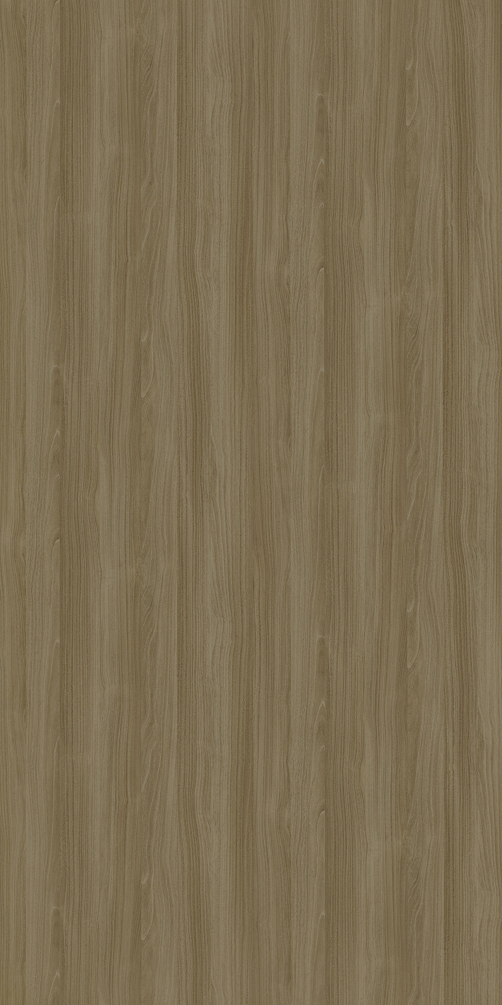 Tanned Rosenheim Maple