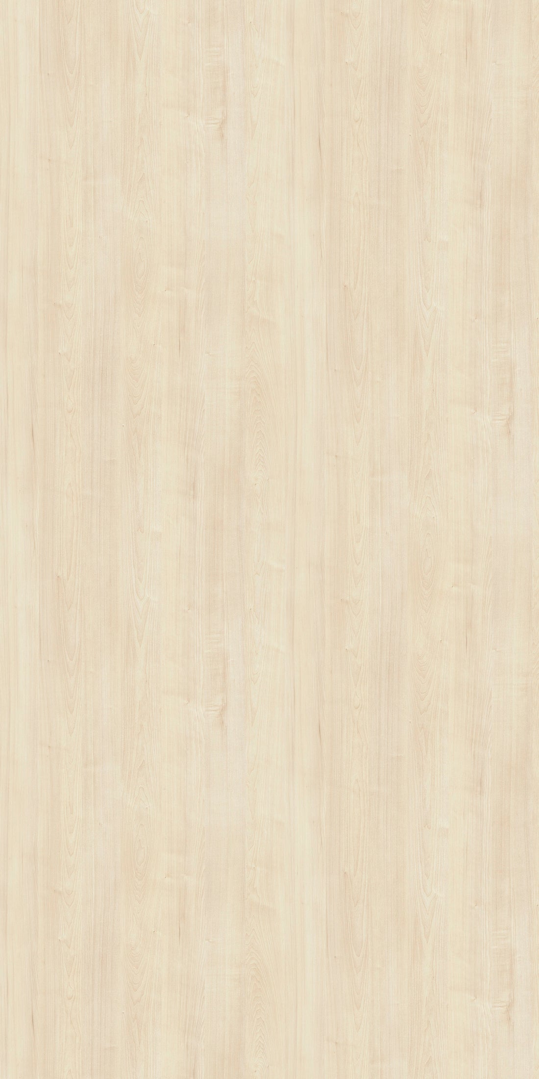 Maya Laurentian Maple