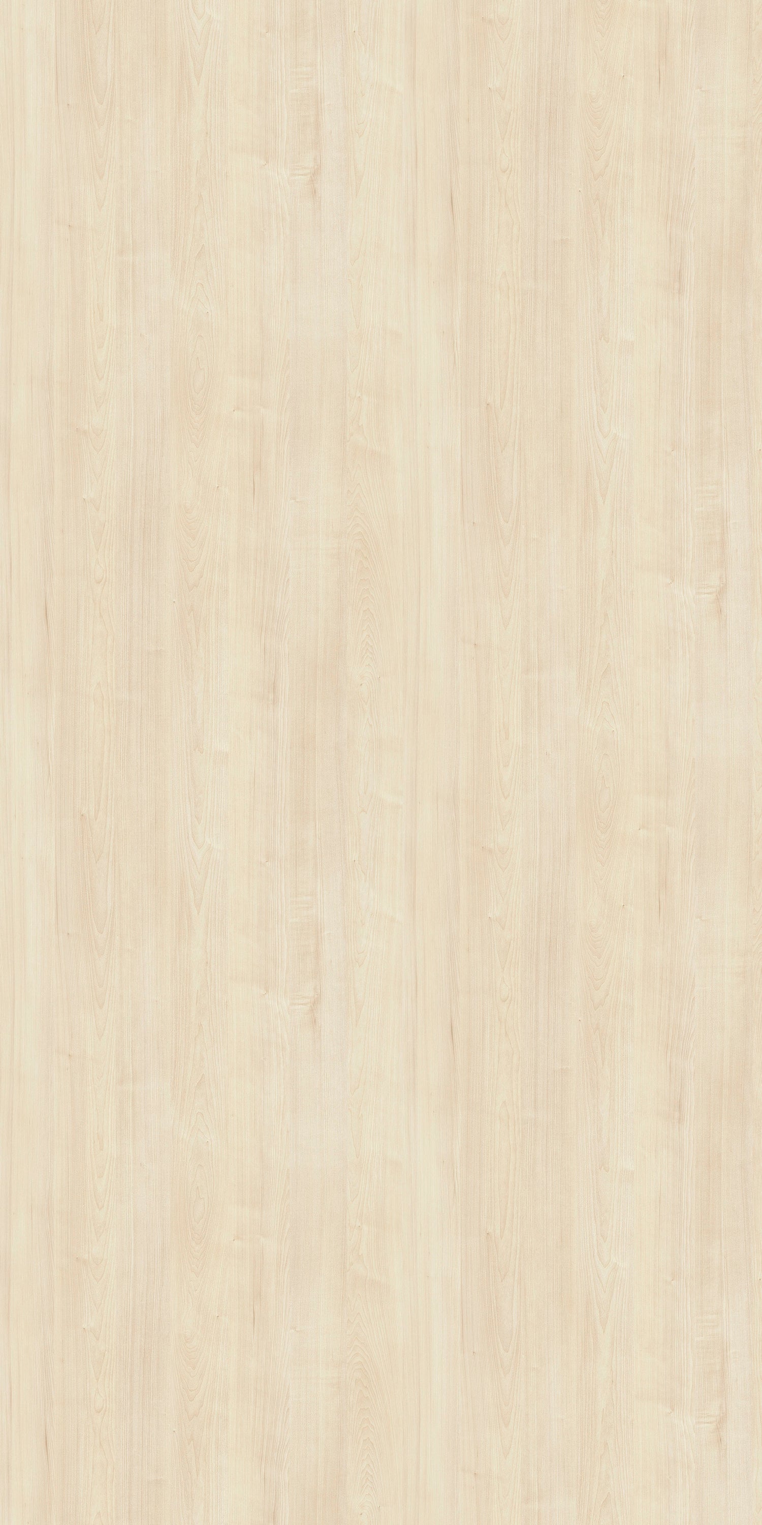 Maya Laurentian Maple