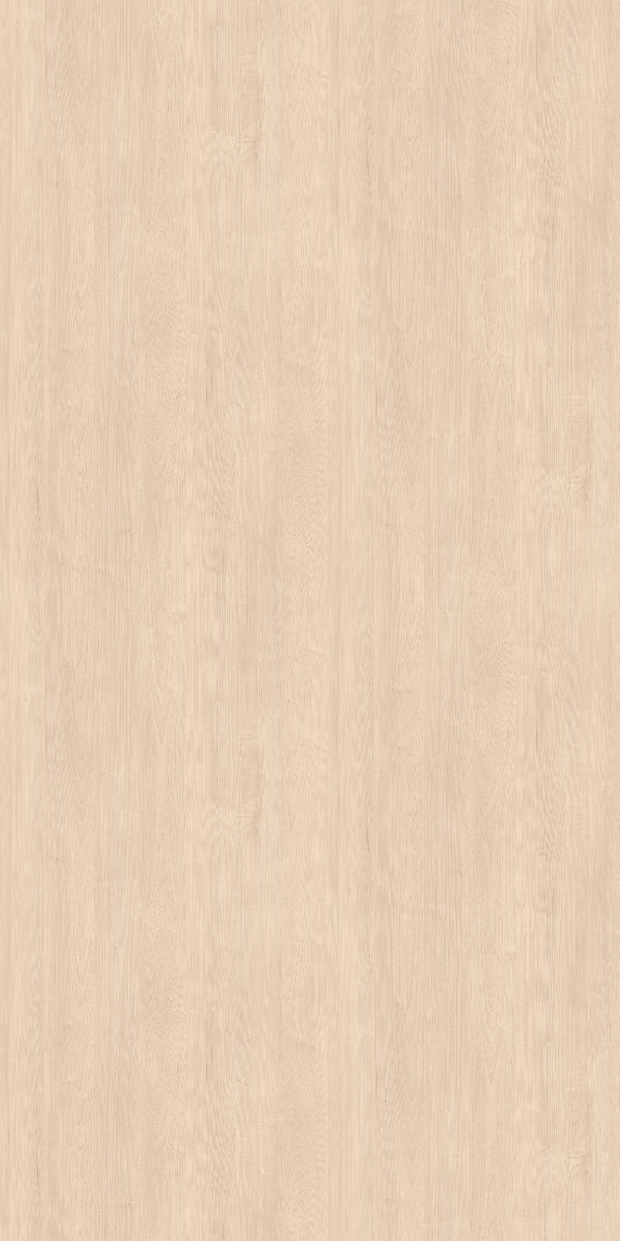 Leah Laurentian Maple