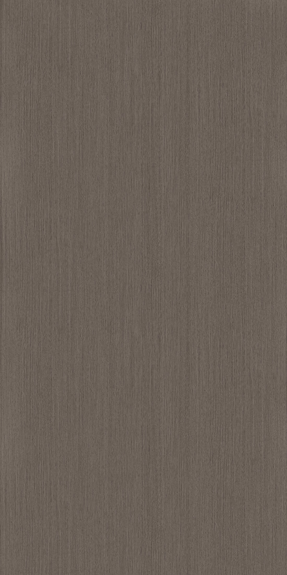 Bambina Giovanni Oak