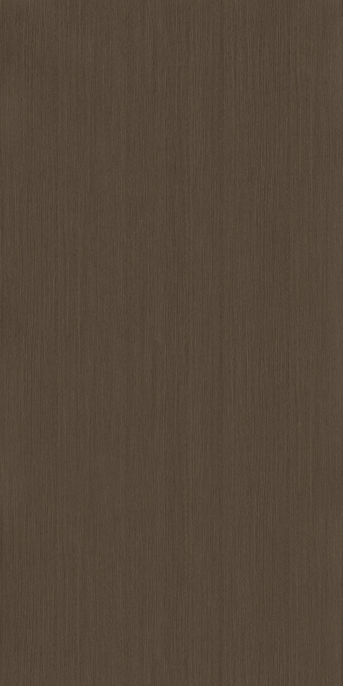 Carlotta Giovanni Oak