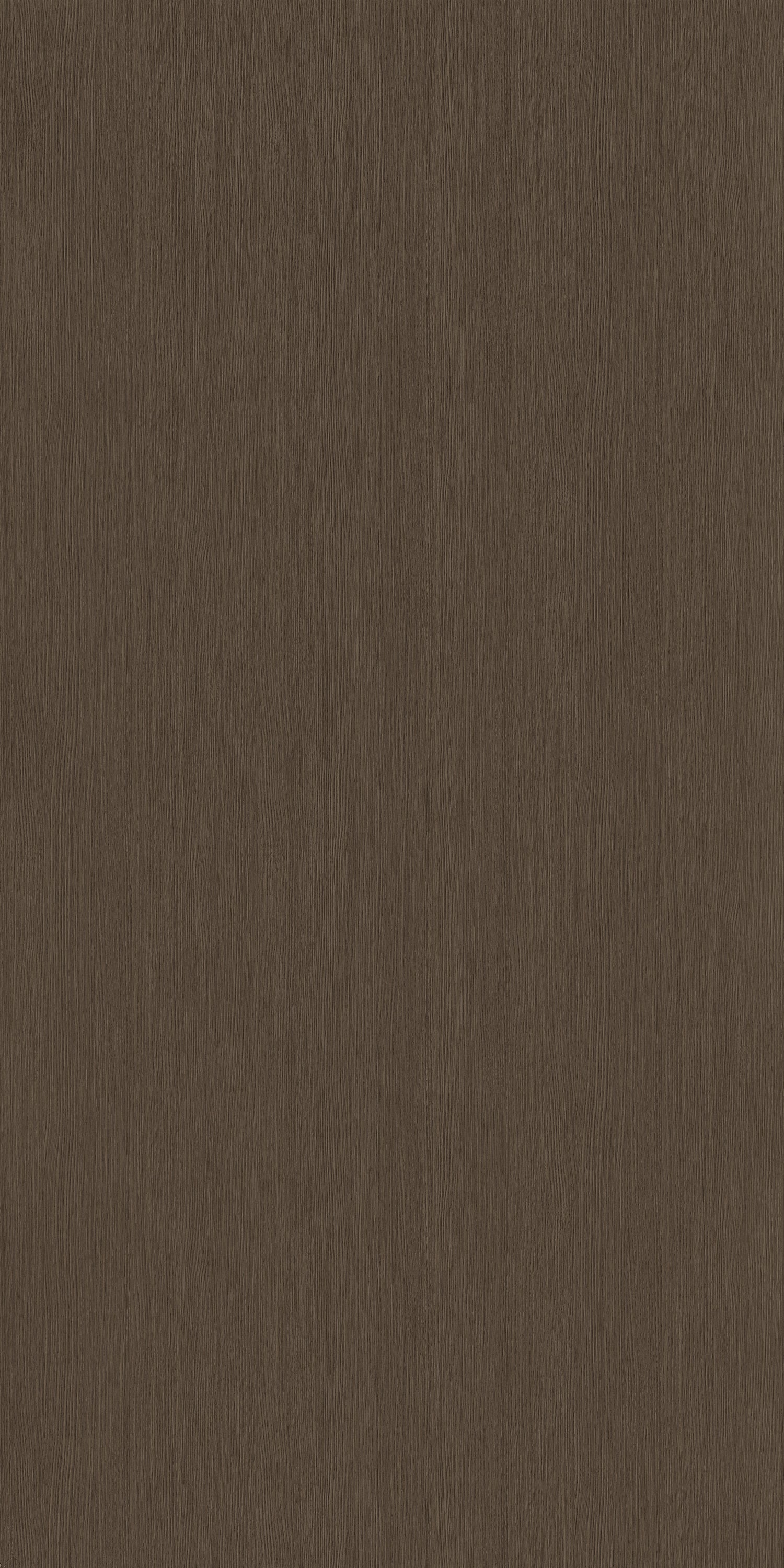 Carlotta Giovanni Oak