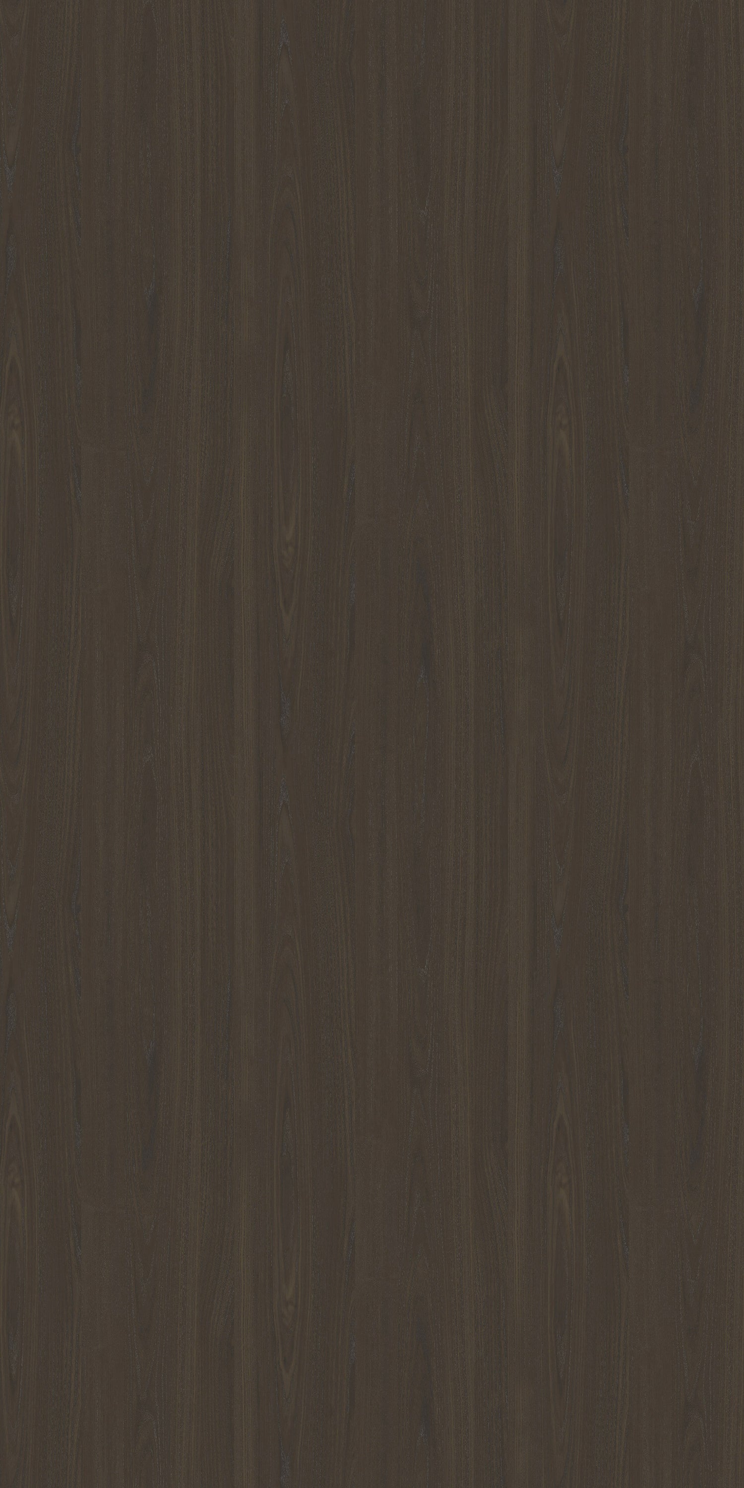 Dunkel Zermatt Esche