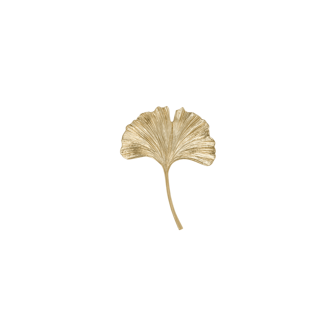 Ginkgo Mini