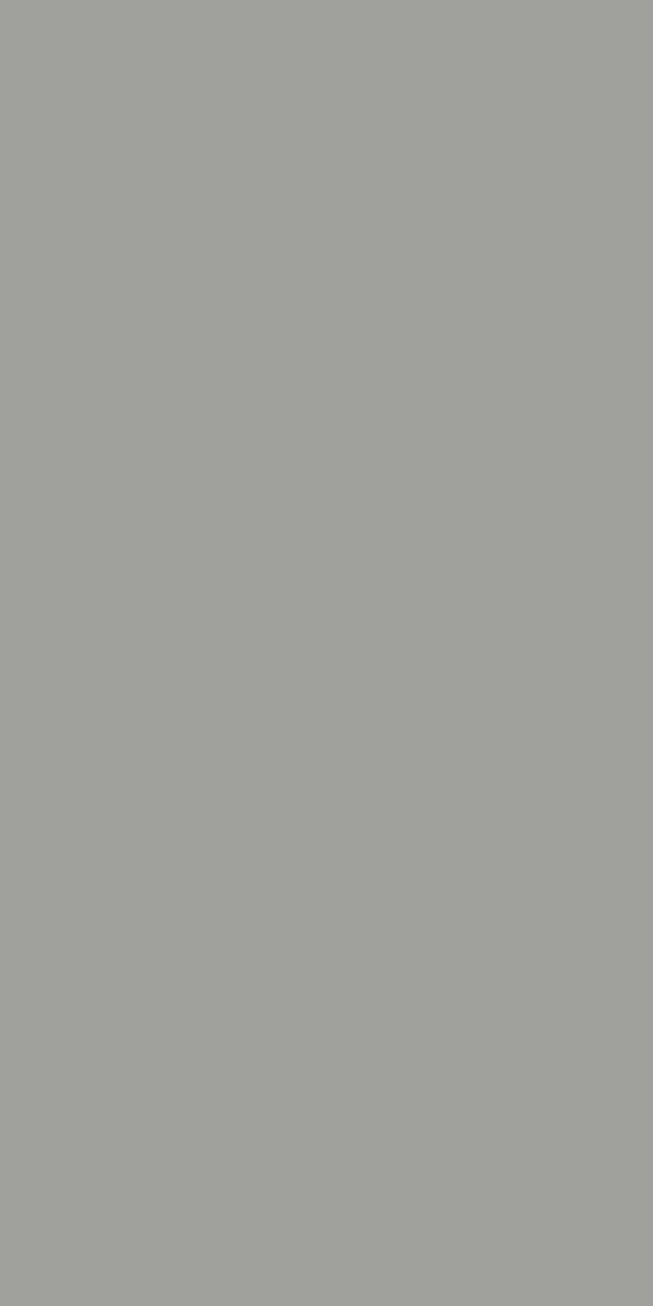 High Gloss Wintry Grey